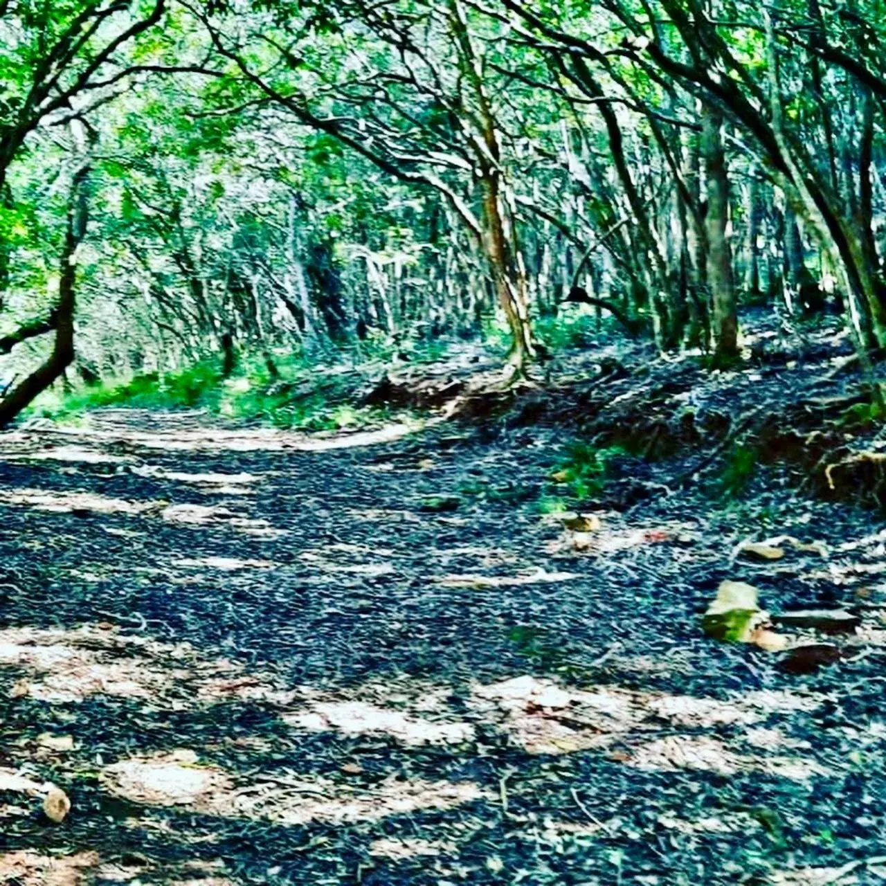 The View Swellendam B&B The View Swellendam B&B