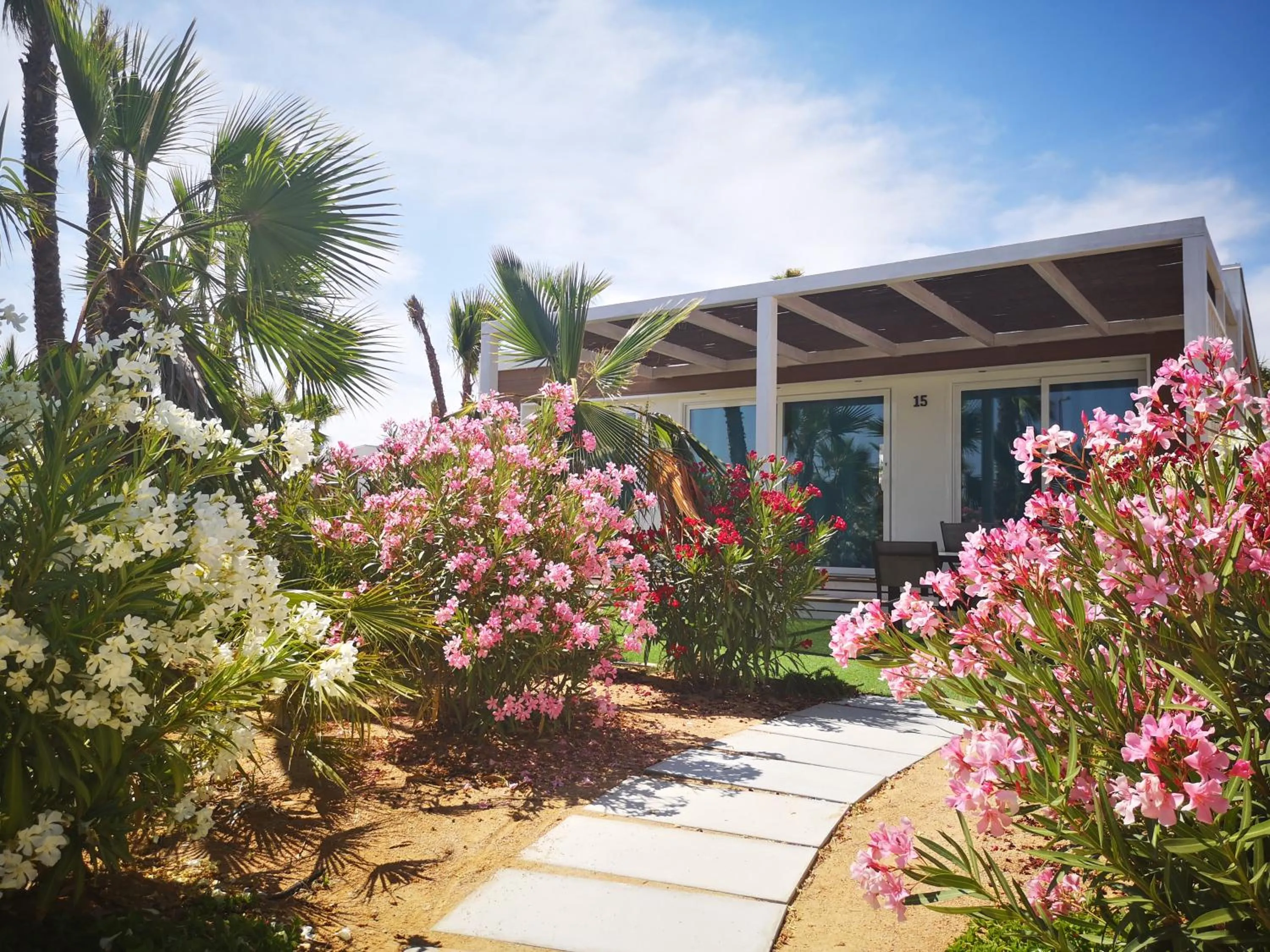 Garden in Alannia Costa Blanca