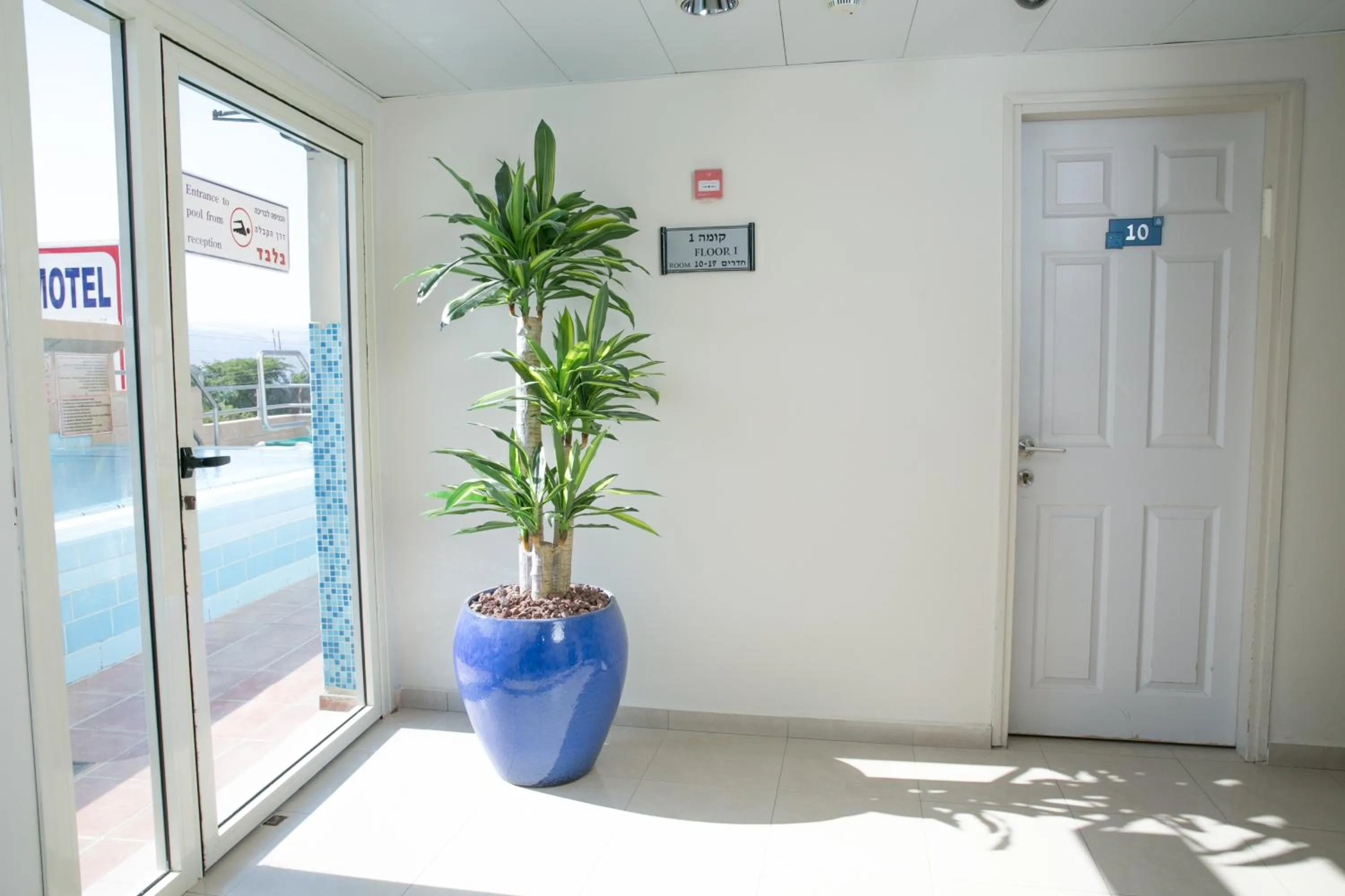 Floor plan in Motel Aviv