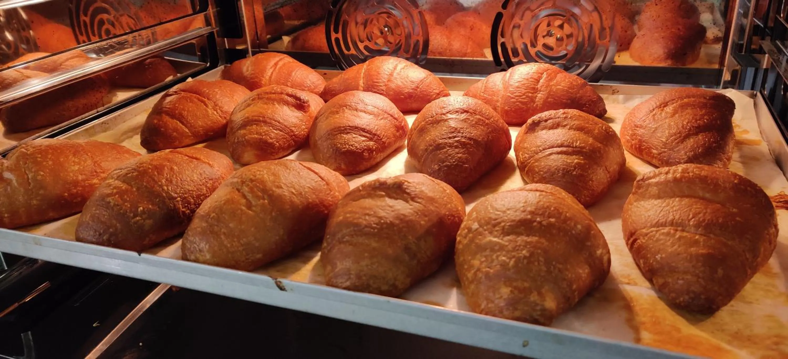 Food and drinks in Hotel Modena old town