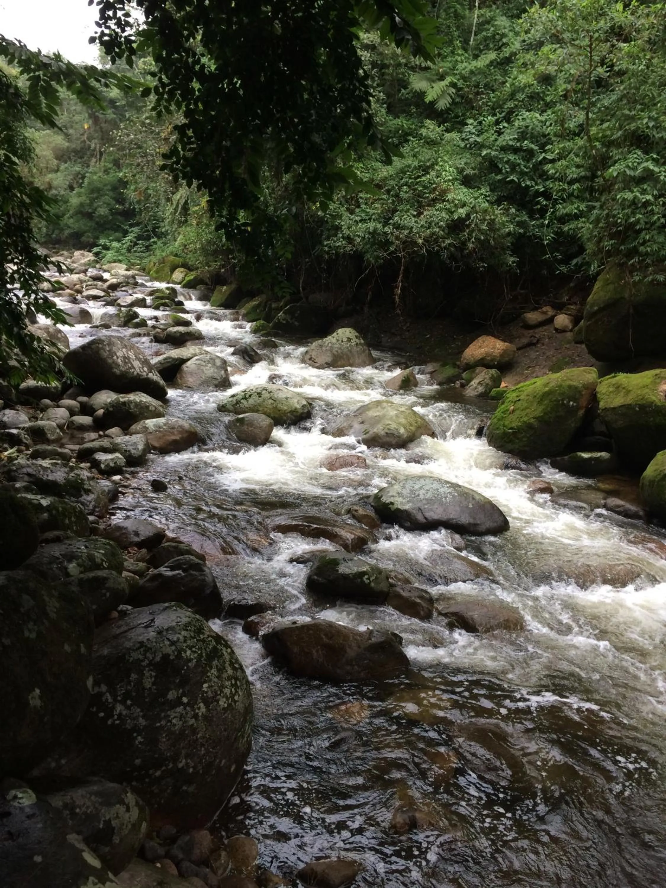 Eco Chalés Caminho das Águas