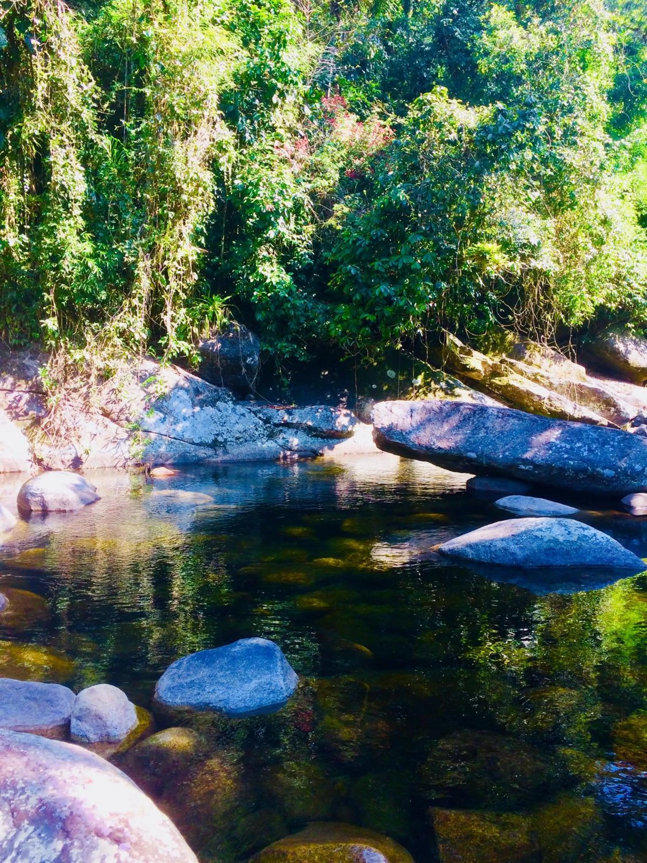 Natural landscape in Eco Chalés Caminho das Águas