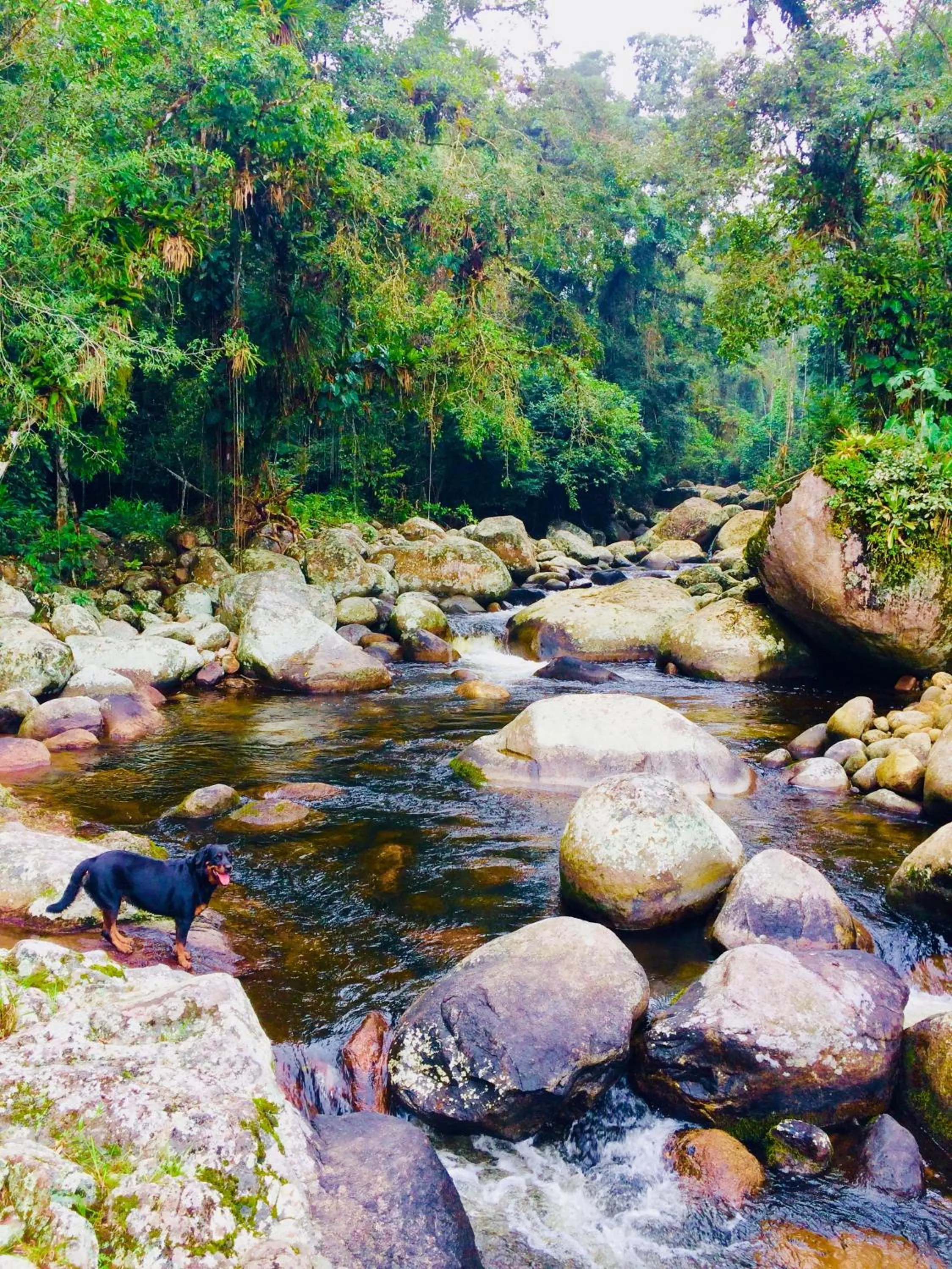 Eco Chalés Caminho das Águas