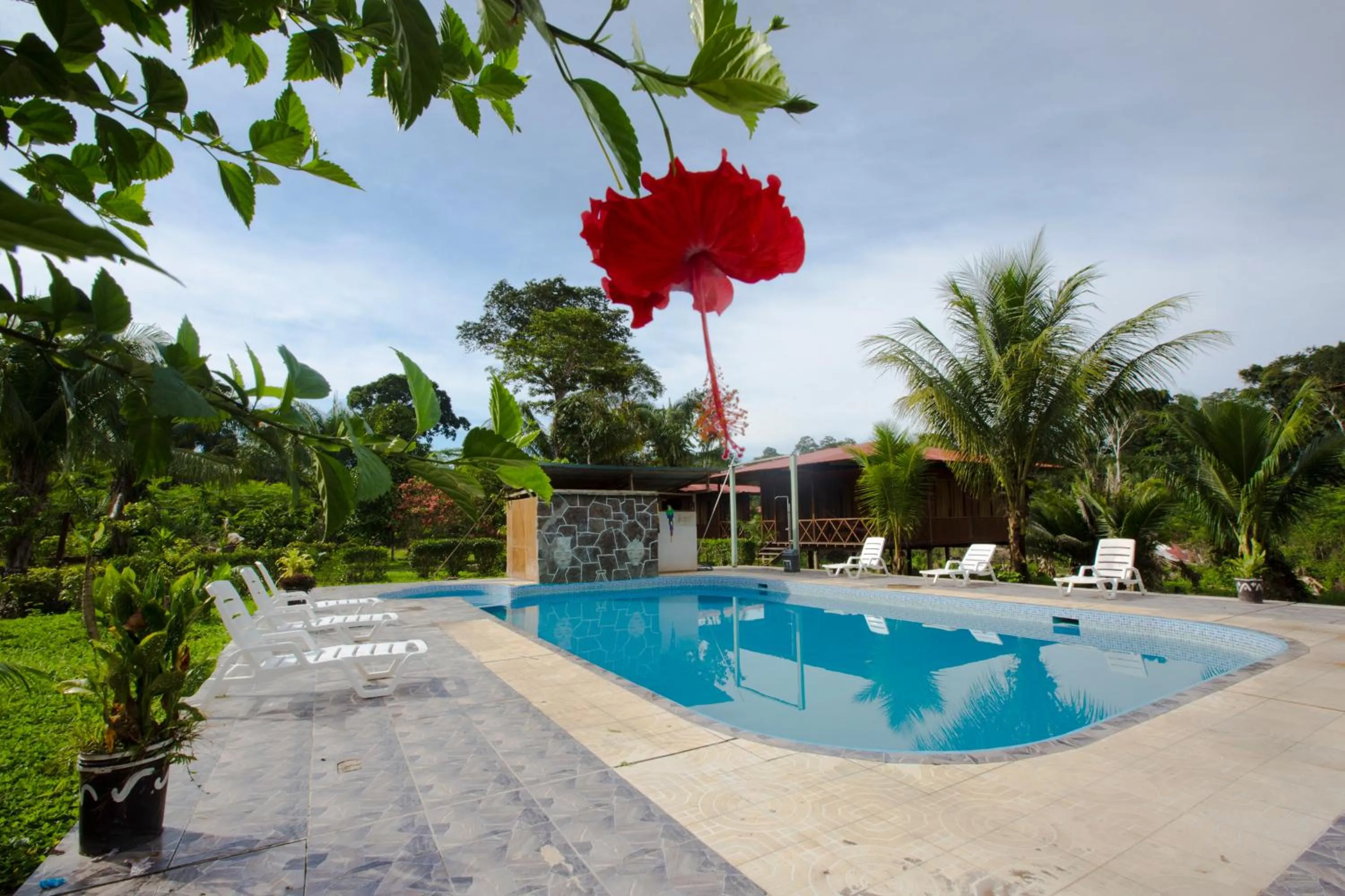 Swimming pool in Monte Amazonico Lodge