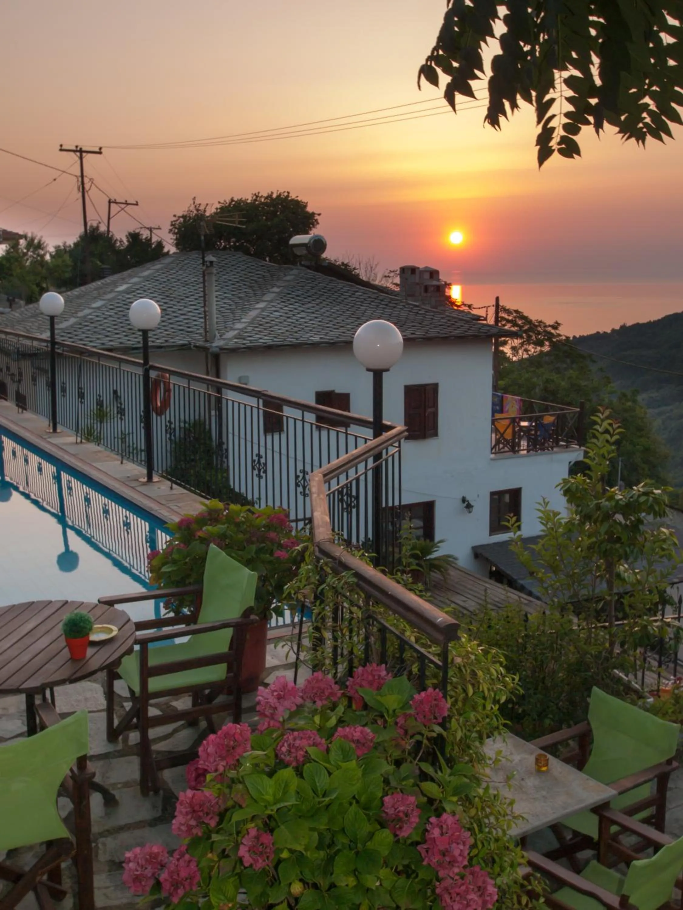 Pool view in Astromeria