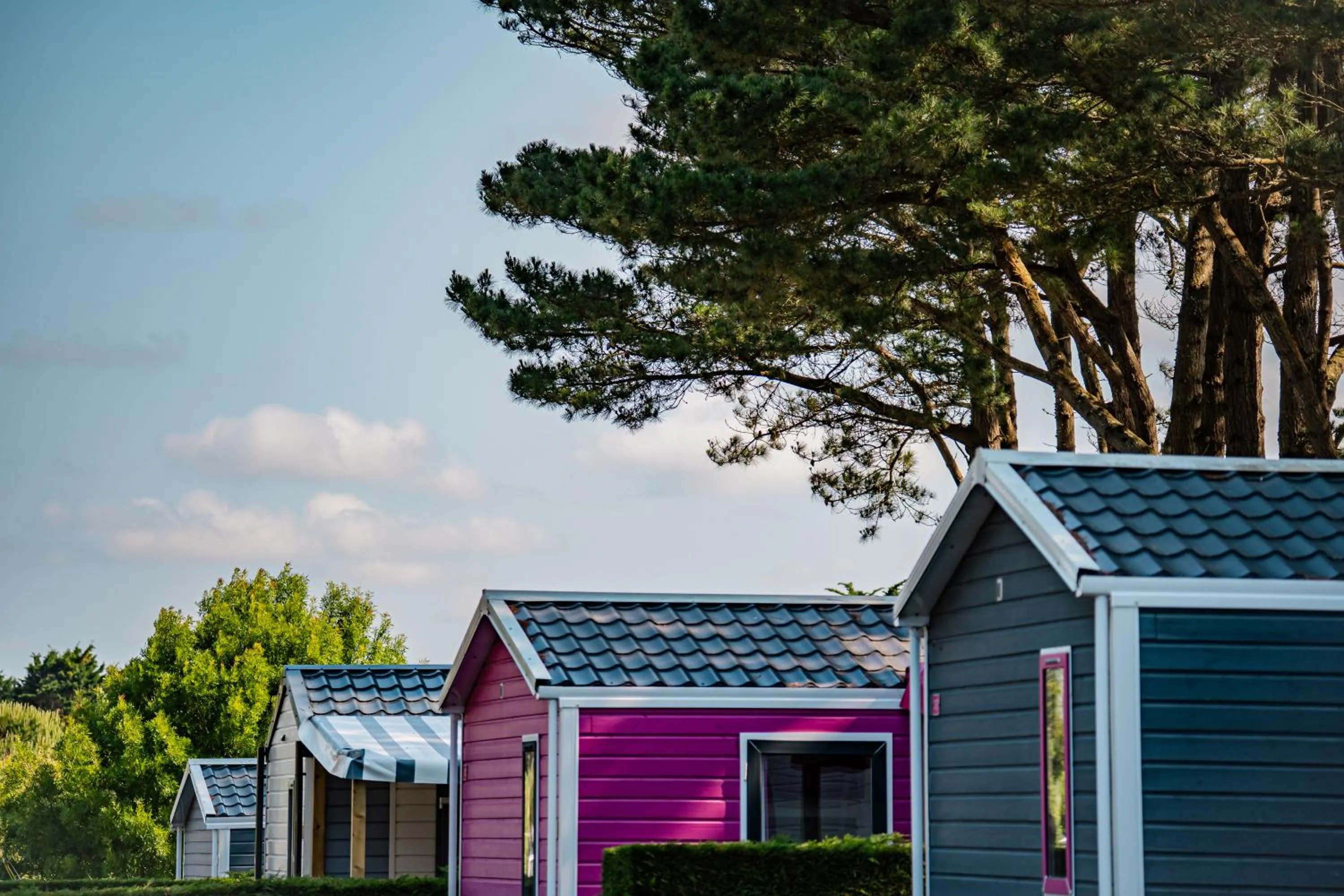 View (from property/room) in Camping L'Ocean