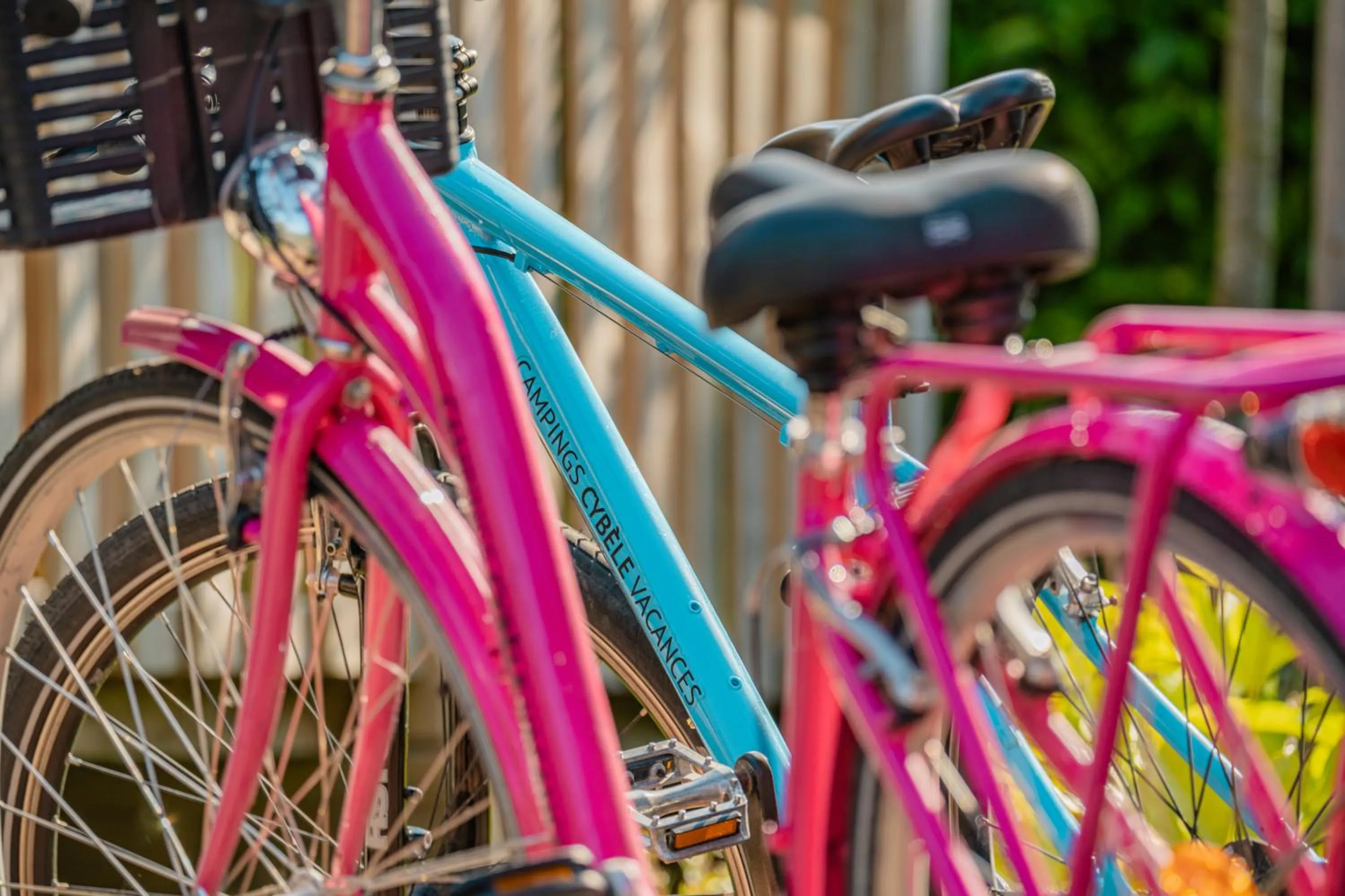 Cycling in Camping L'Ocean