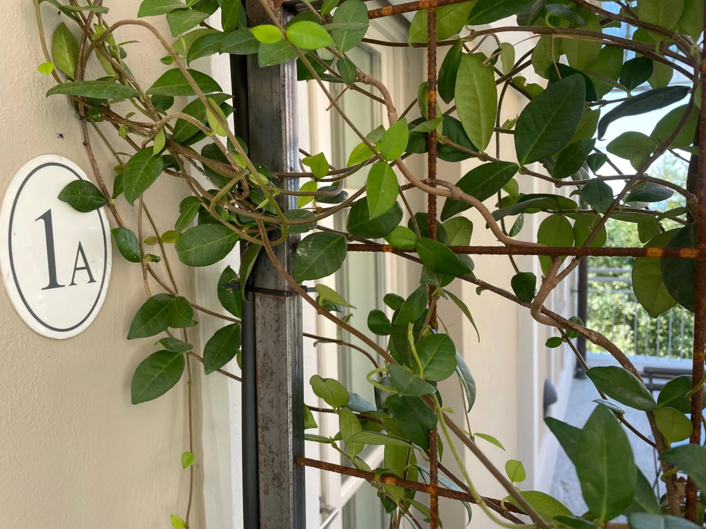 Garden in Villa Pattono Relais