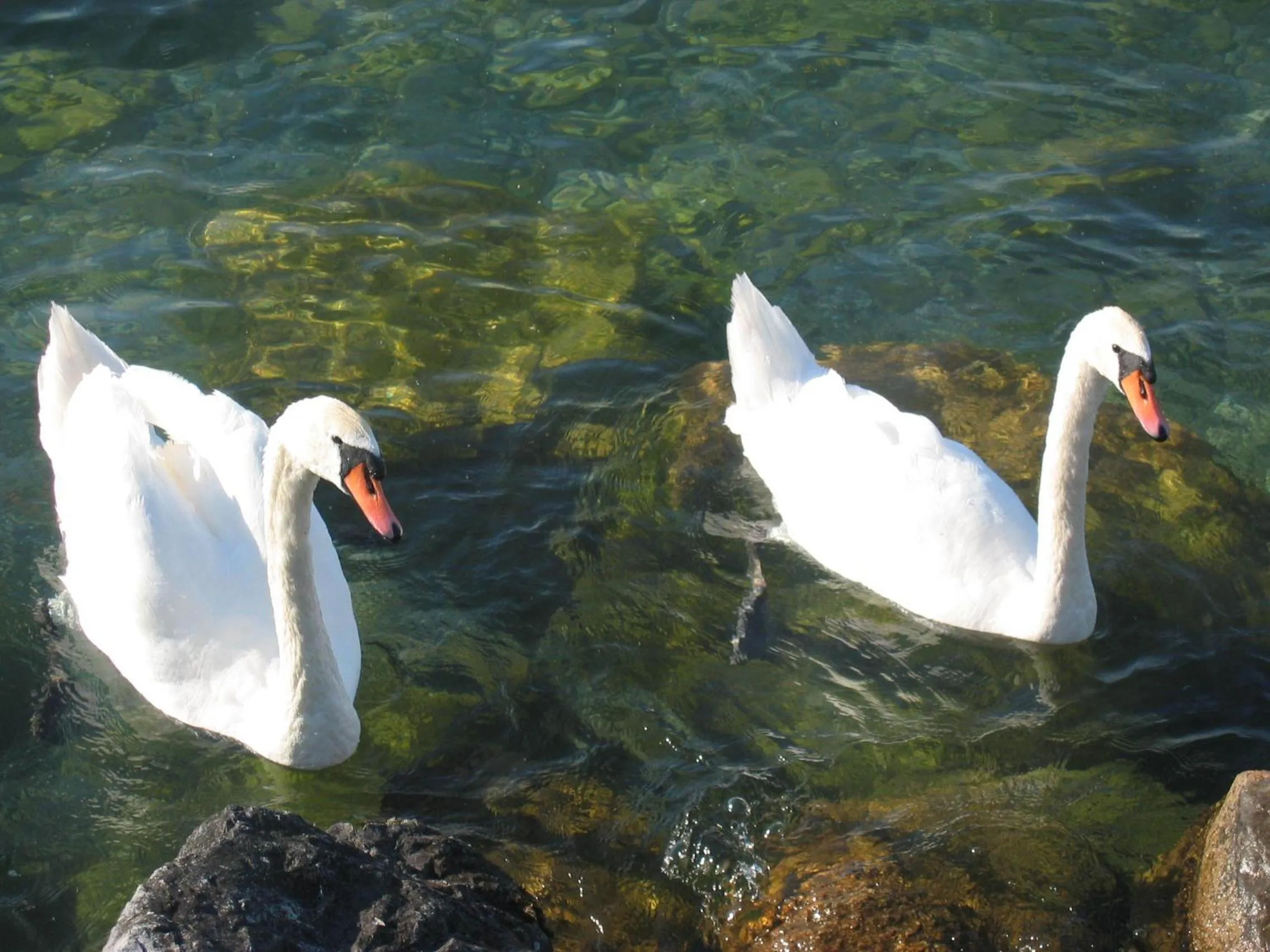 Other in Hôtel Restaurant le Panorama
