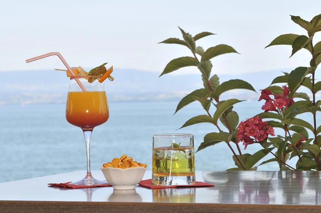 View (from property/room) in Hôtel Restaurant le Panorama