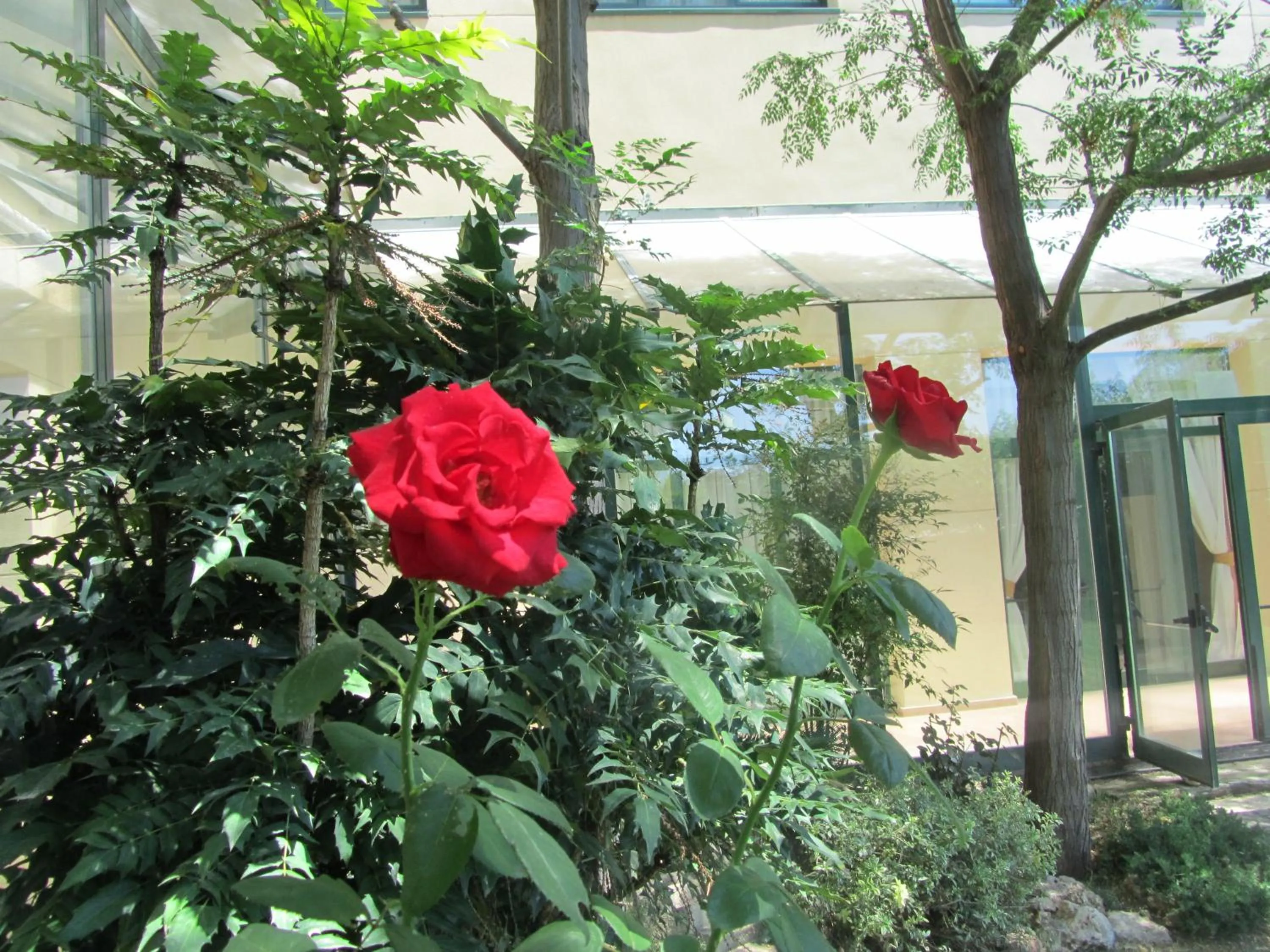 Garden in Sommelier Hostelera SL