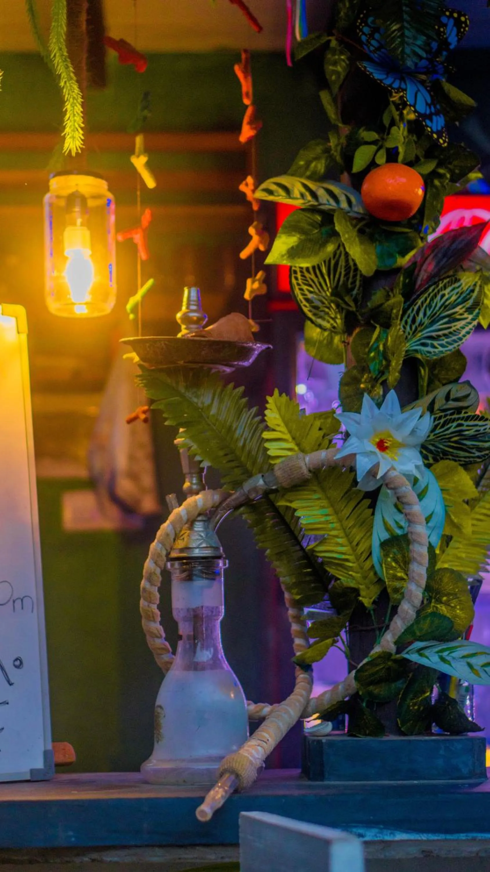 Lounge or bar in Lala's Place