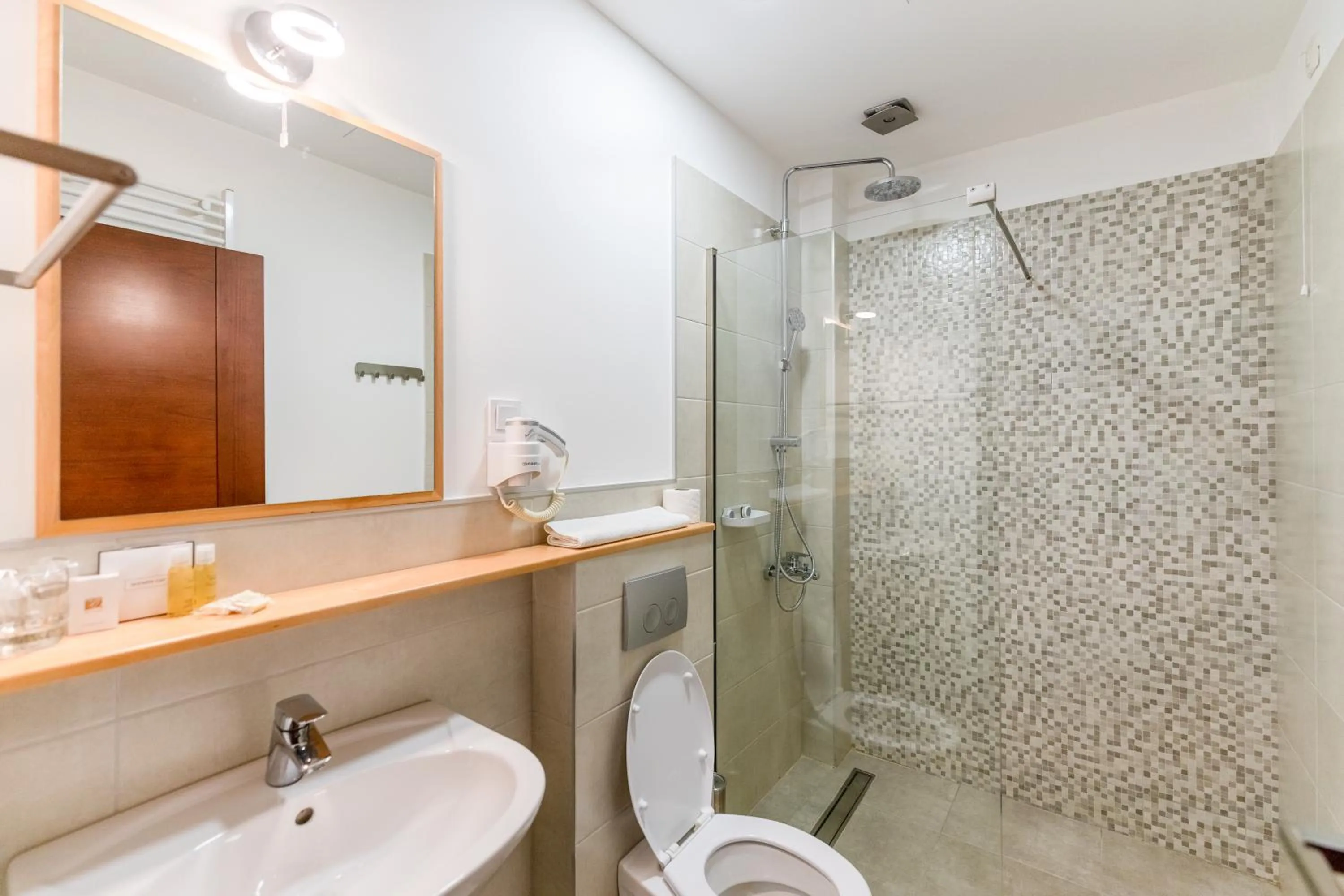 Bathroom in GARNI HOTEL ATRIUM