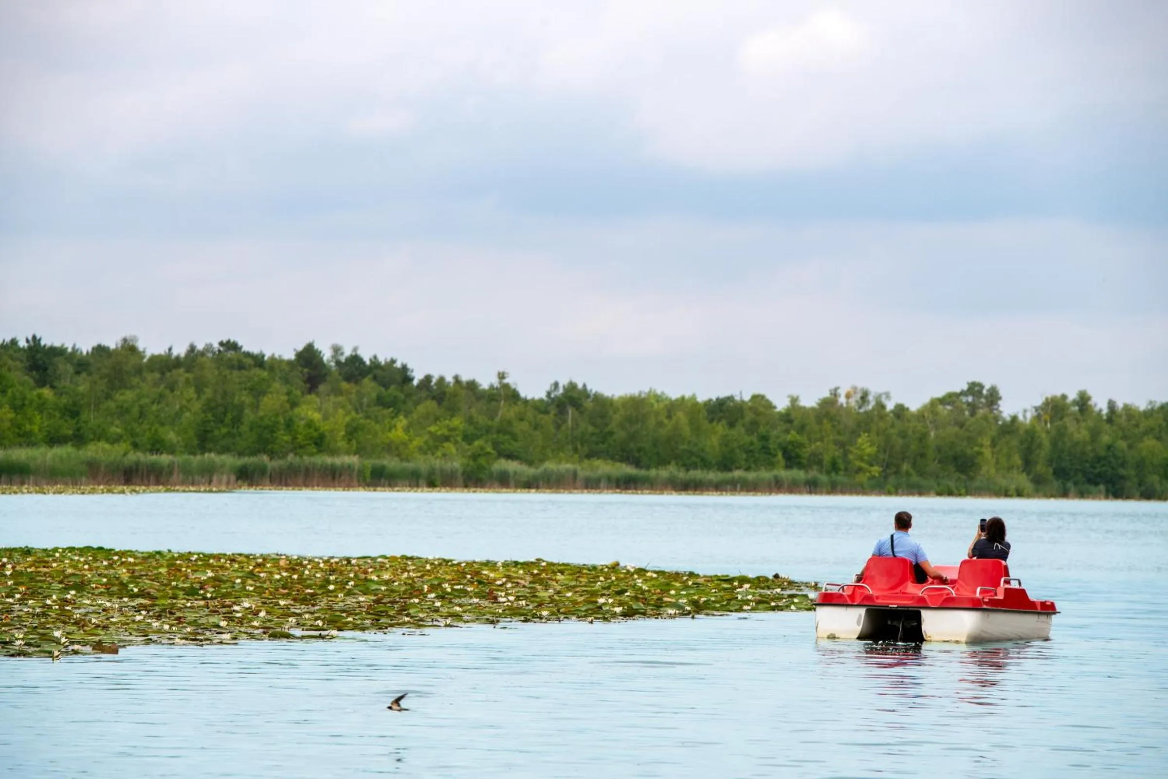 Aparthotel Seepanorama
