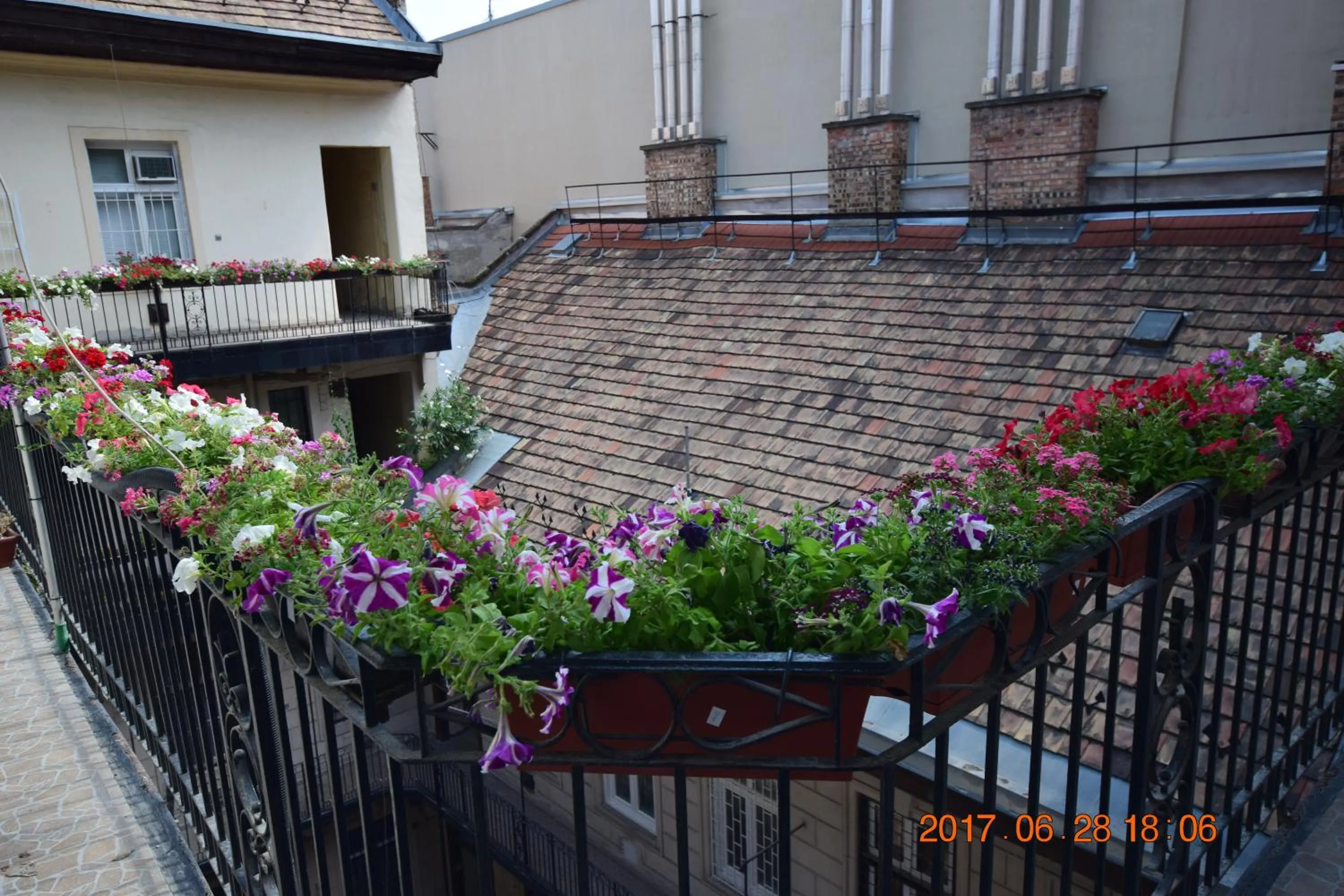 Garden in Eitans Guesthouse