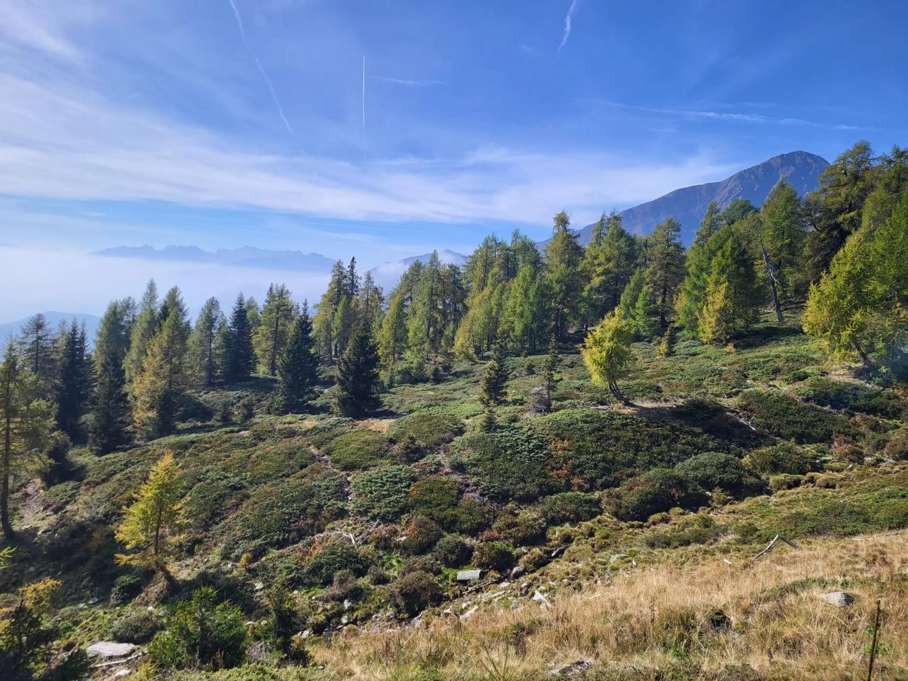 Natural landscape in Natur Pur Hotel Unterpichl