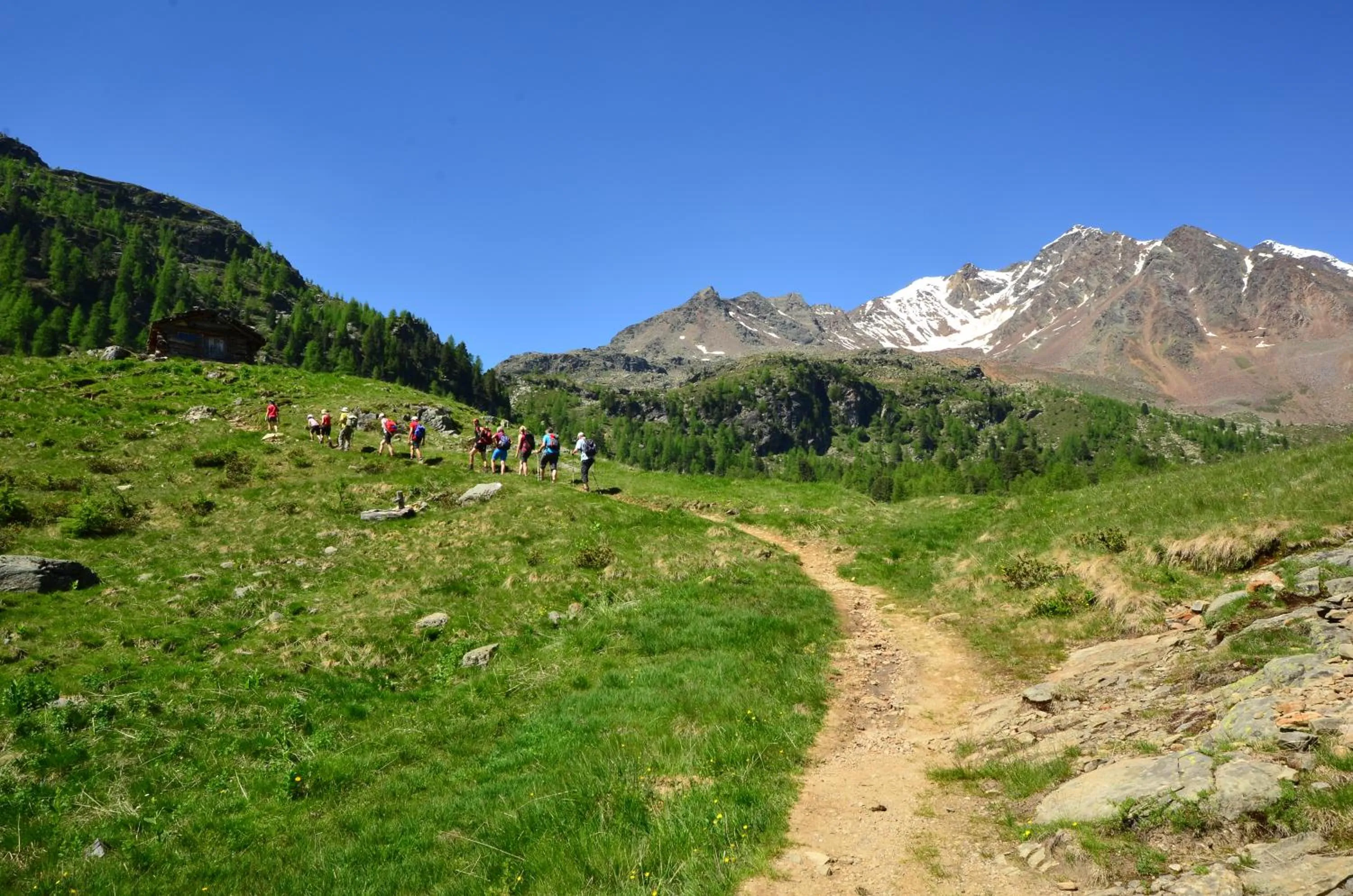 Hiking in Natur Pur Hotel Unterpichl