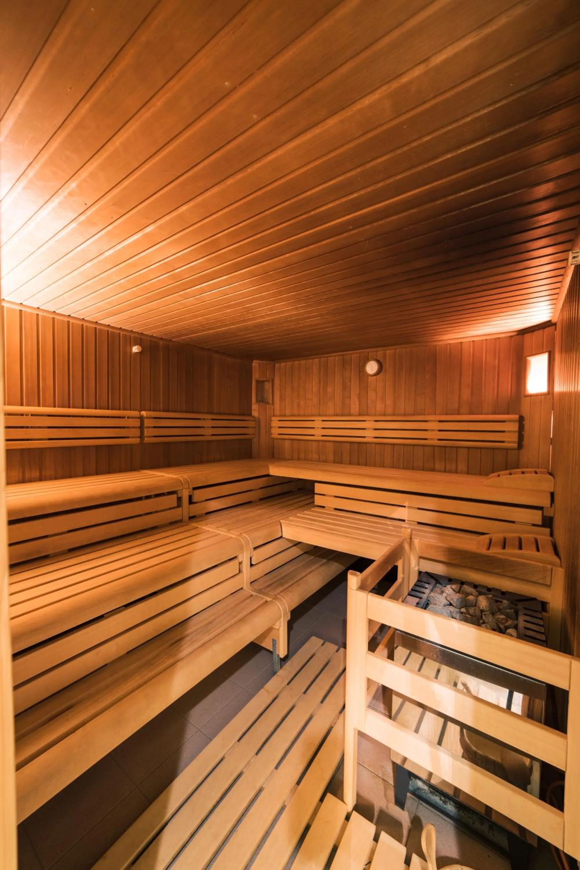 Spa and wellness centre/facilities in Natur Pur Hotel Unterpichl