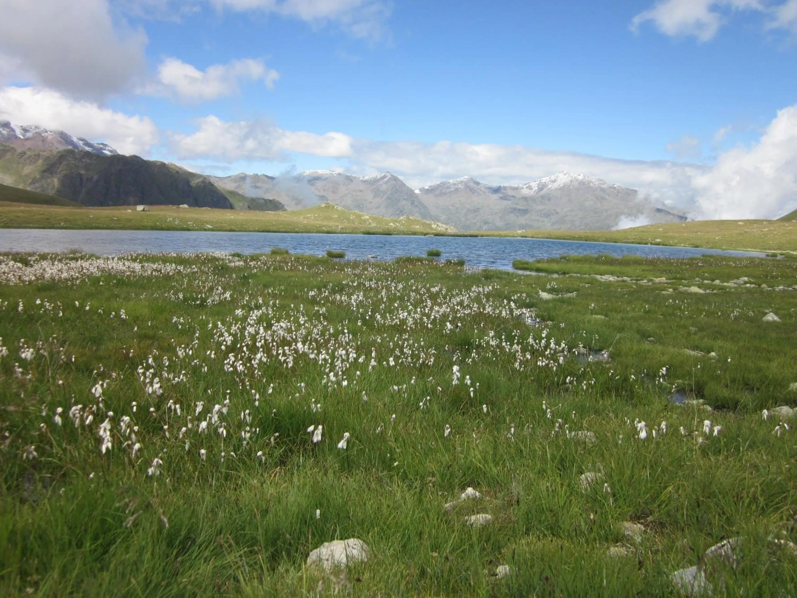 Natural landscape in Natur Pur Hotel Unterpichl