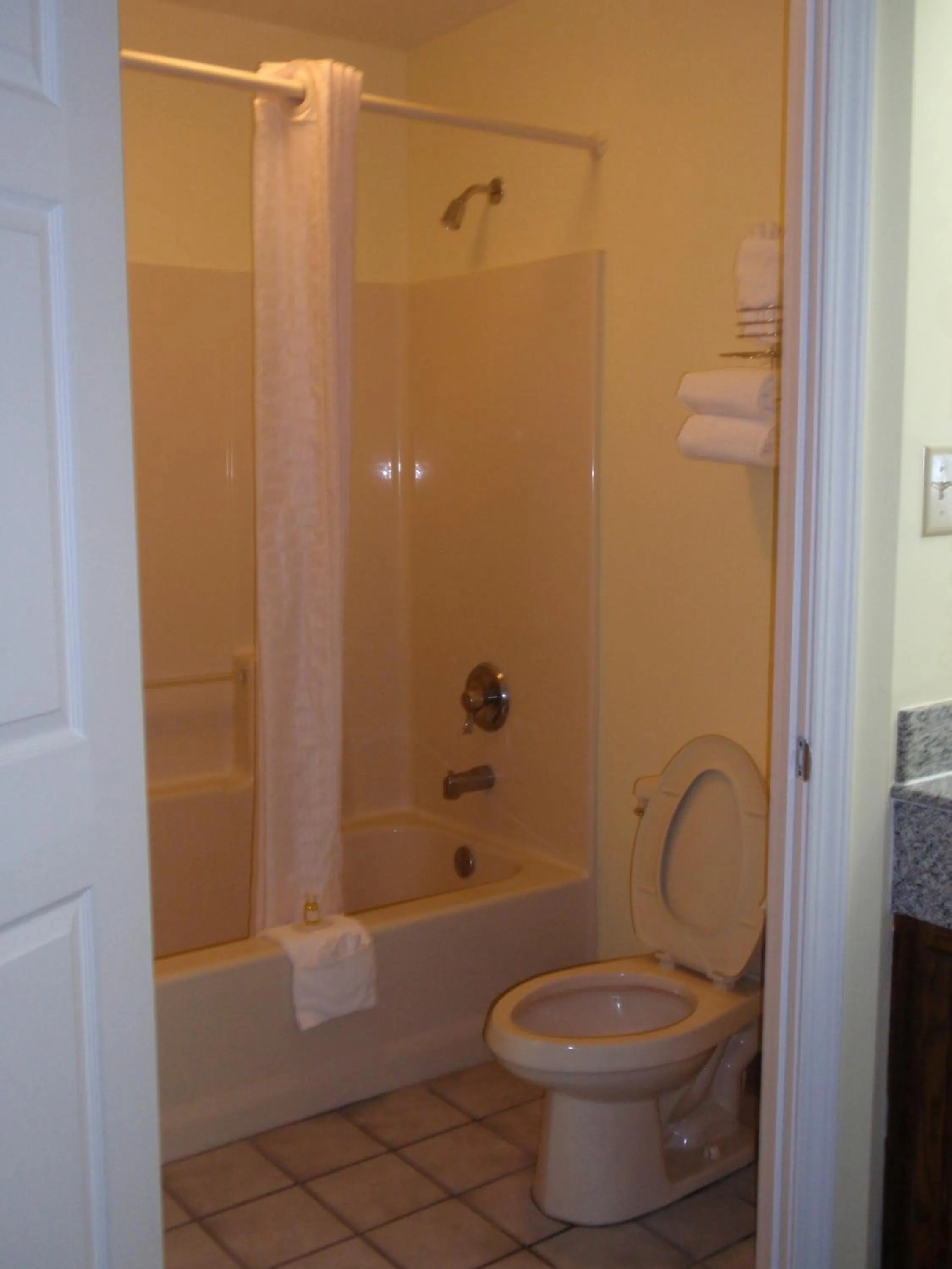 Toilet in Jameson Inn - Perry