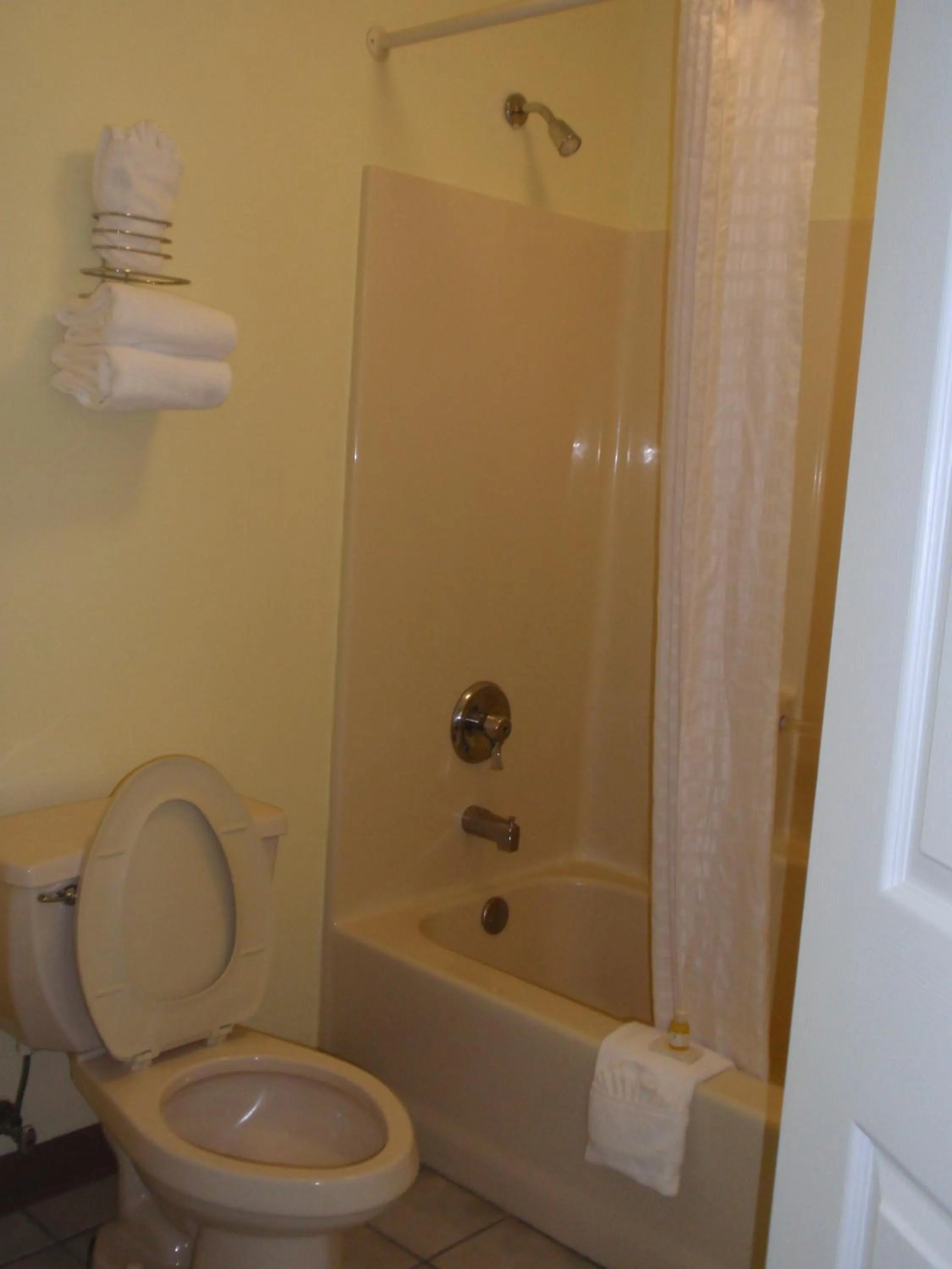 Toilet in Jameson Inn - Perry