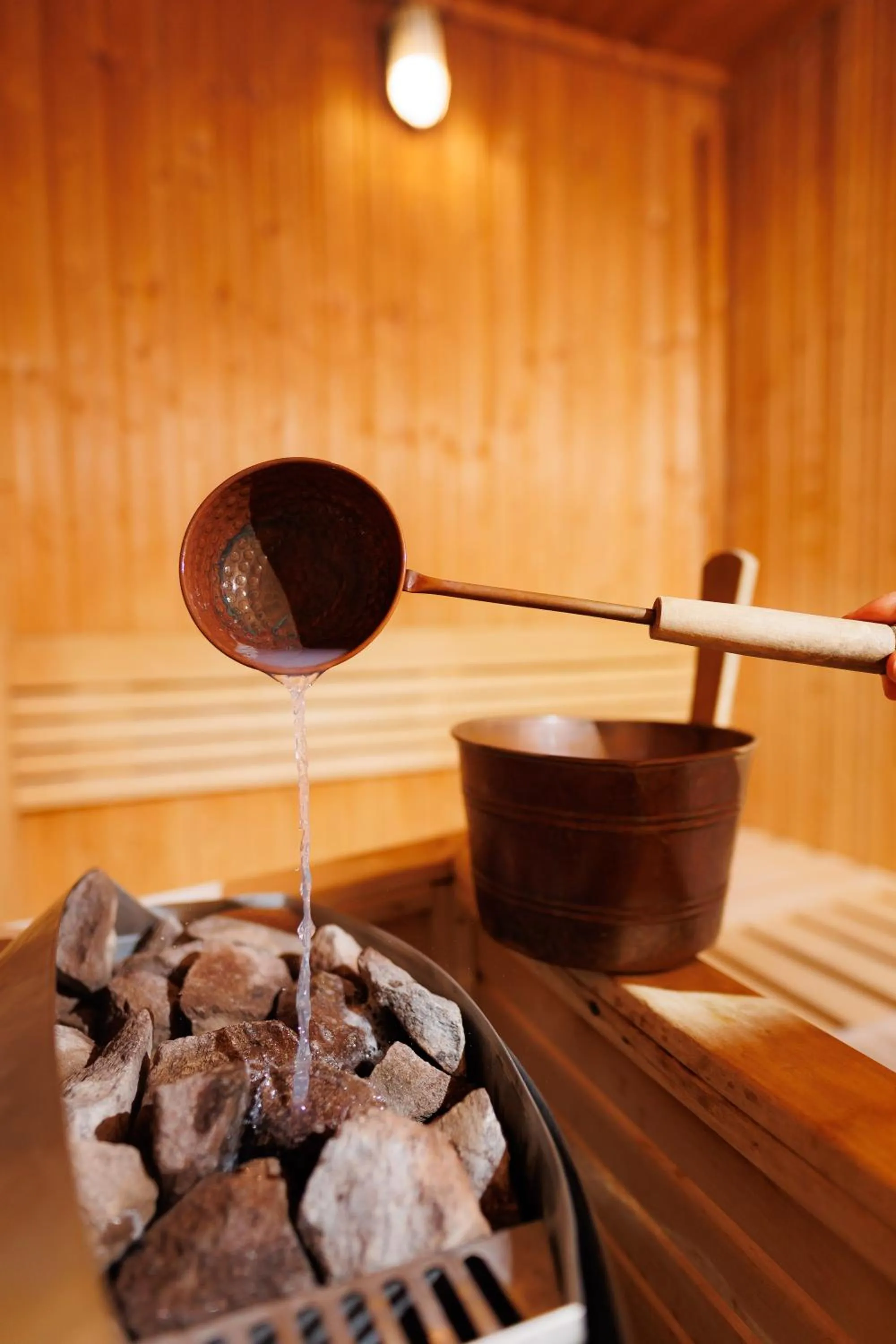 Sauna in Hotel Orizont