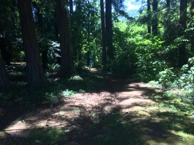 Spring in Bethlehem Centre