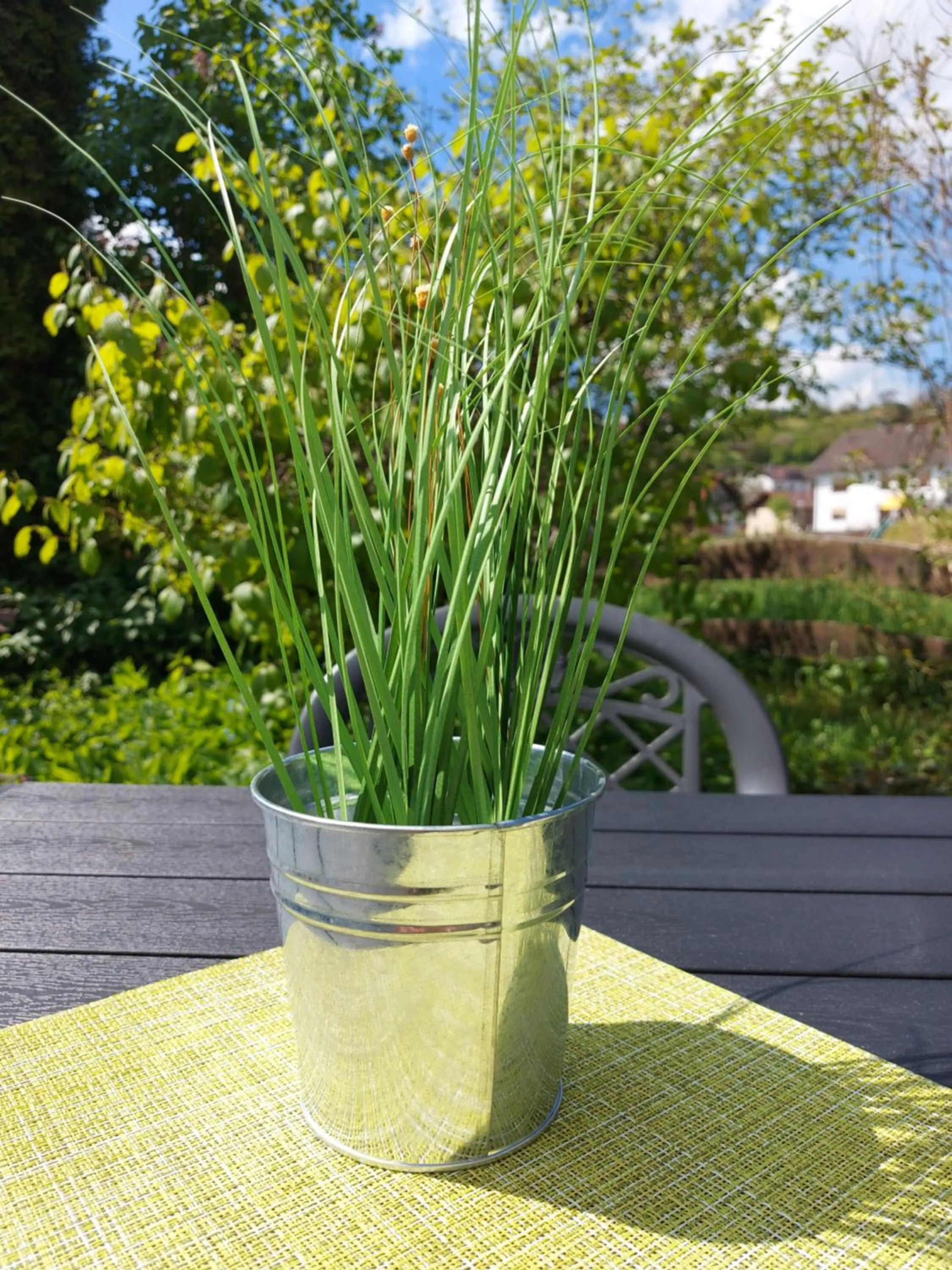 Garden in Wellness-Gasthof-Cafe Nuhnetal