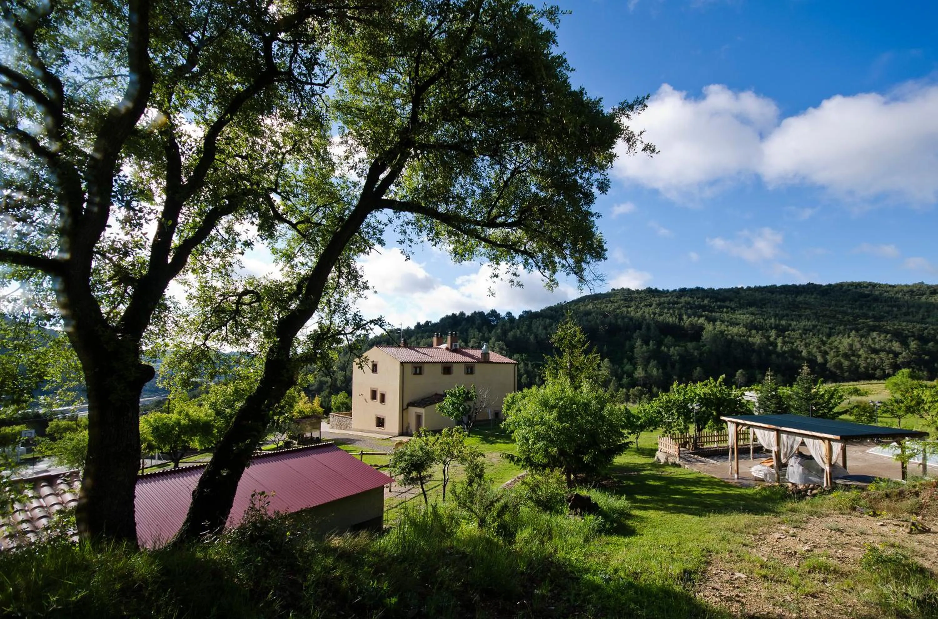 Natural landscape in Les Muntades