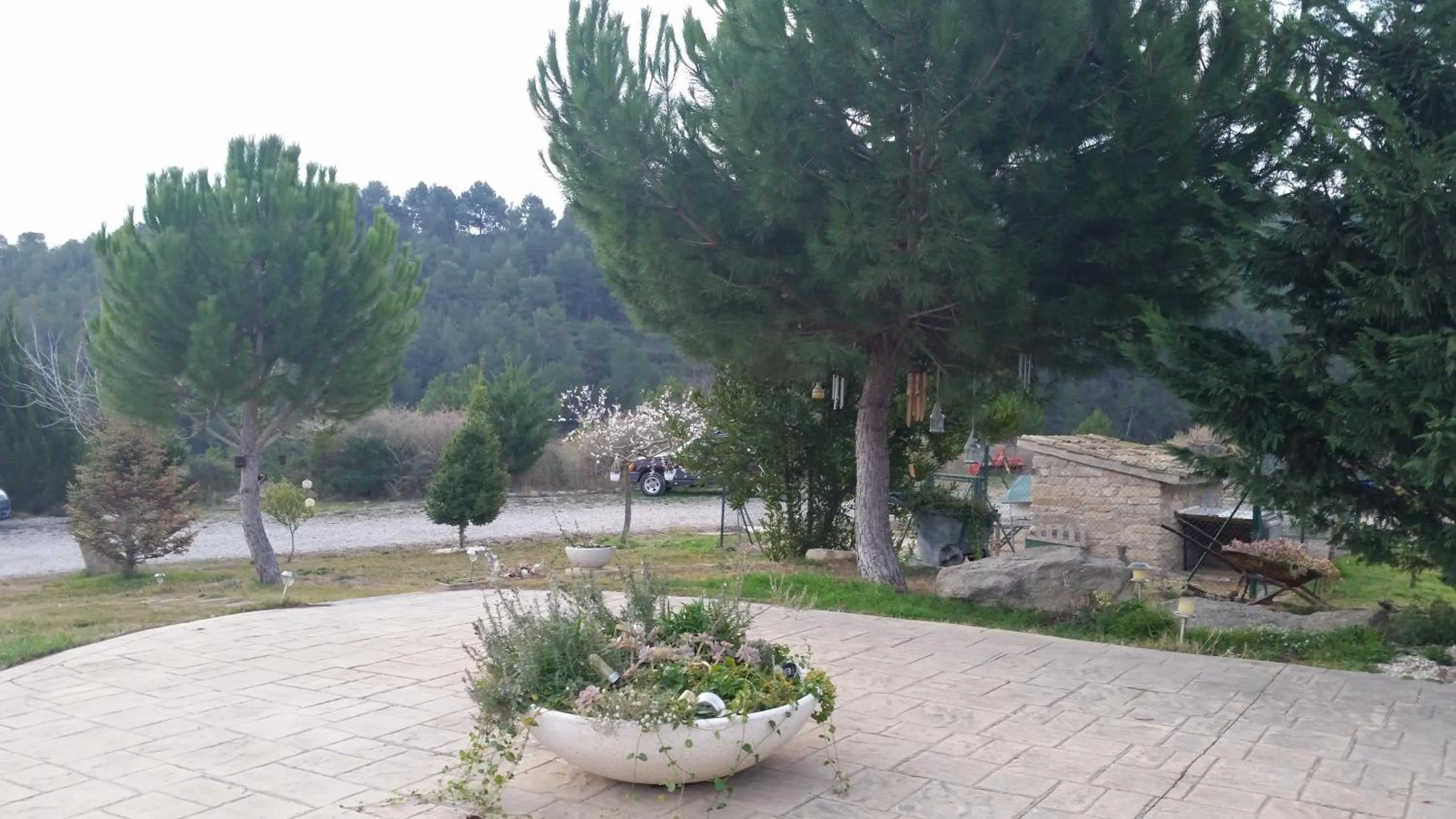 Garden in Les Muntades