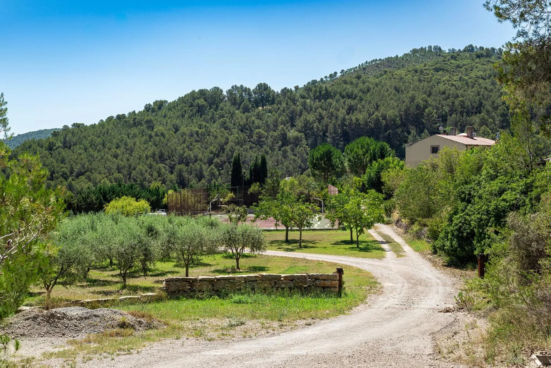 Mountain view in Les Muntades
