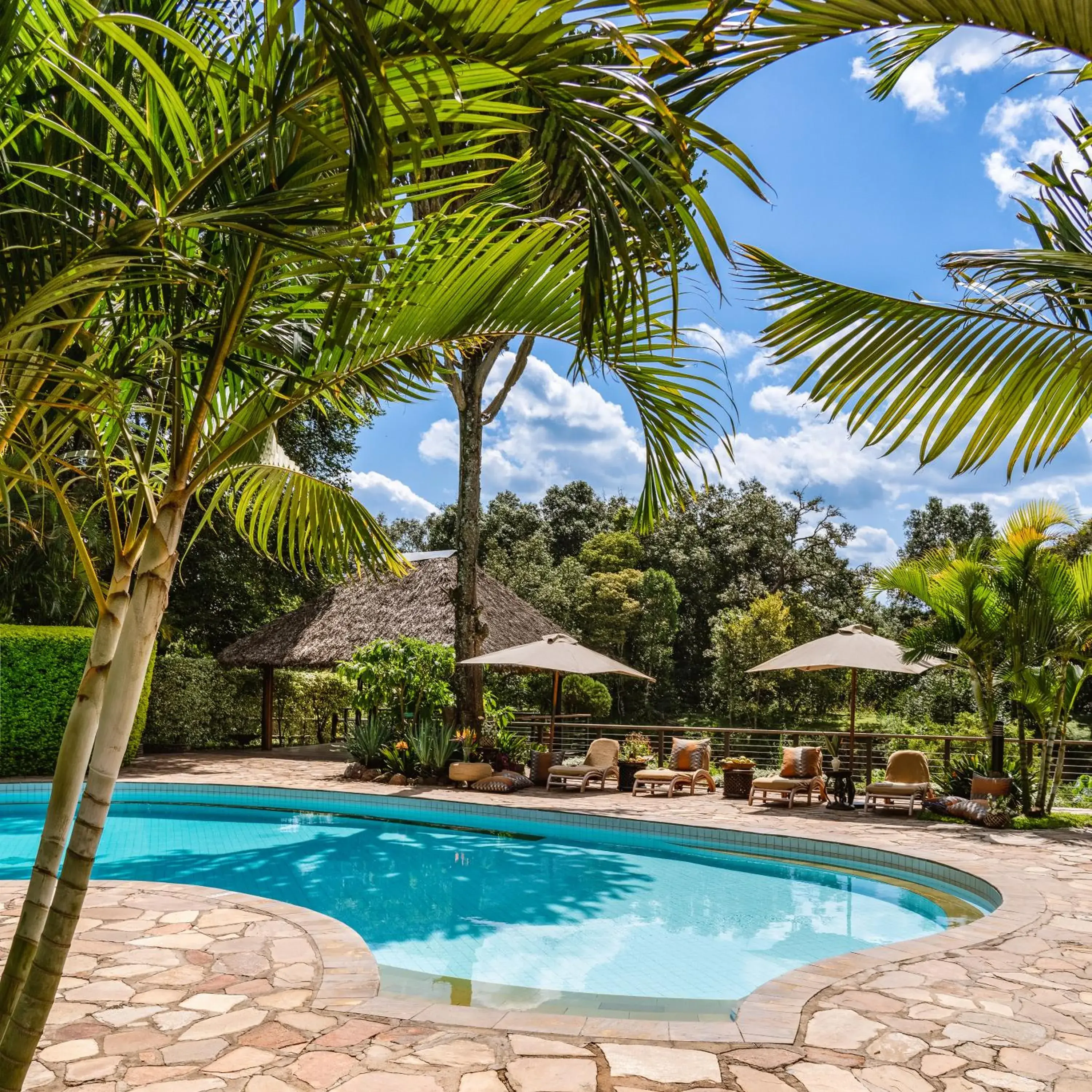 Swimming pool in Fairmont Mara Safari Club Swimming pool in Fairmont Mara Safari Club