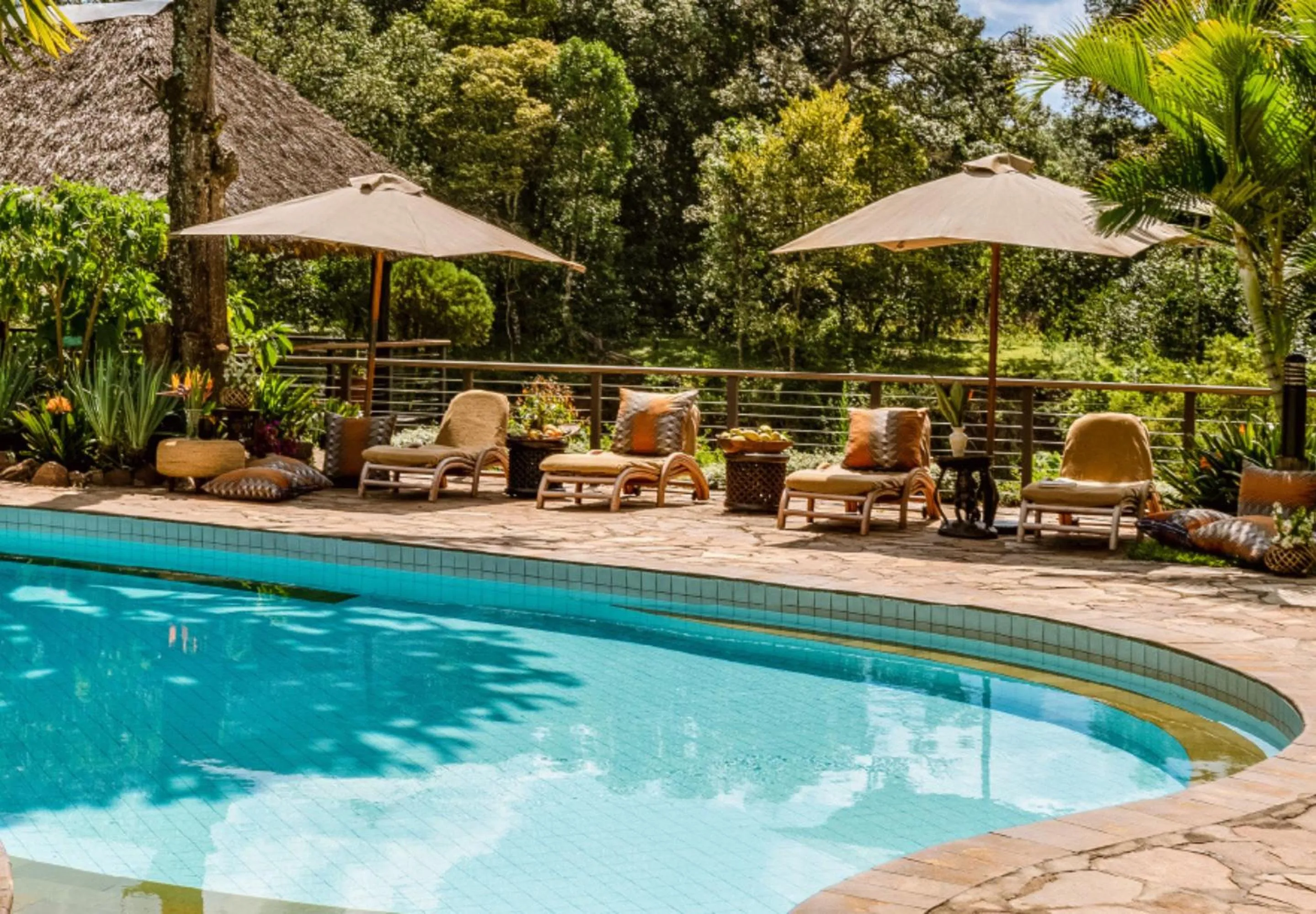 Pool view in Fairmont Mara Safari Club