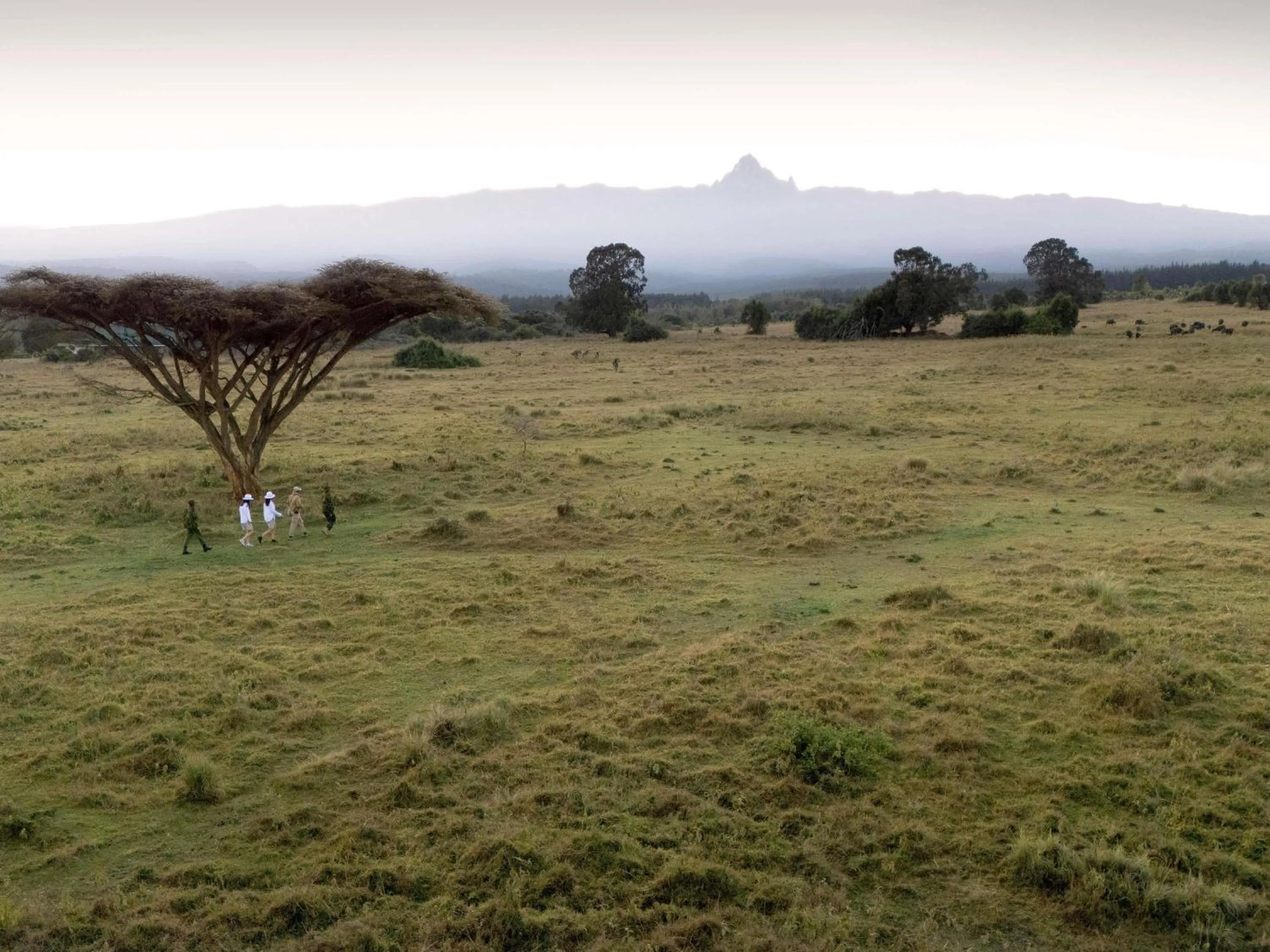 Other in Fairmont Mount Kenya Safari Club