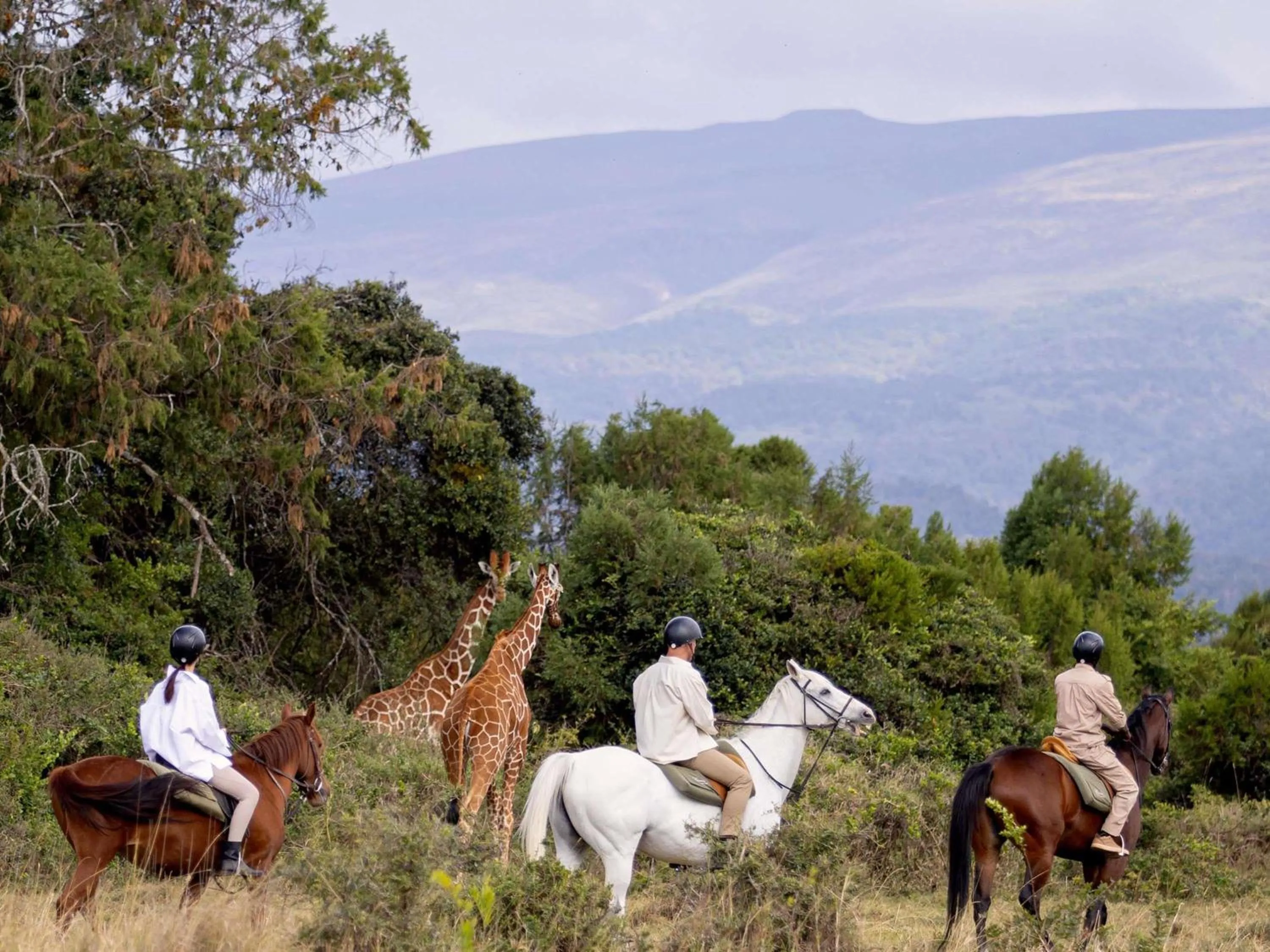 Other in Fairmont Mount Kenya Safari Club