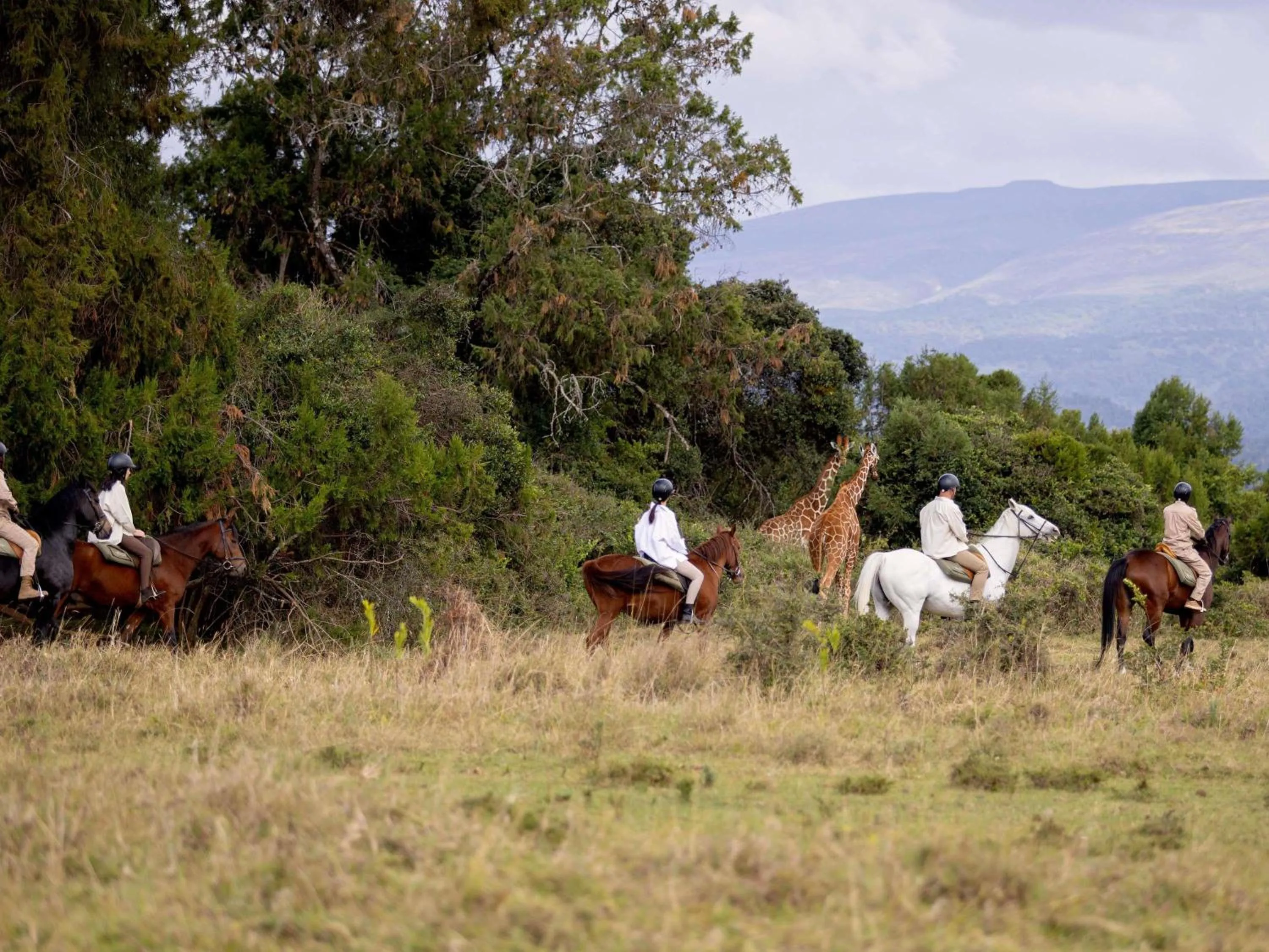 Other in Fairmont Mount Kenya Safari Club