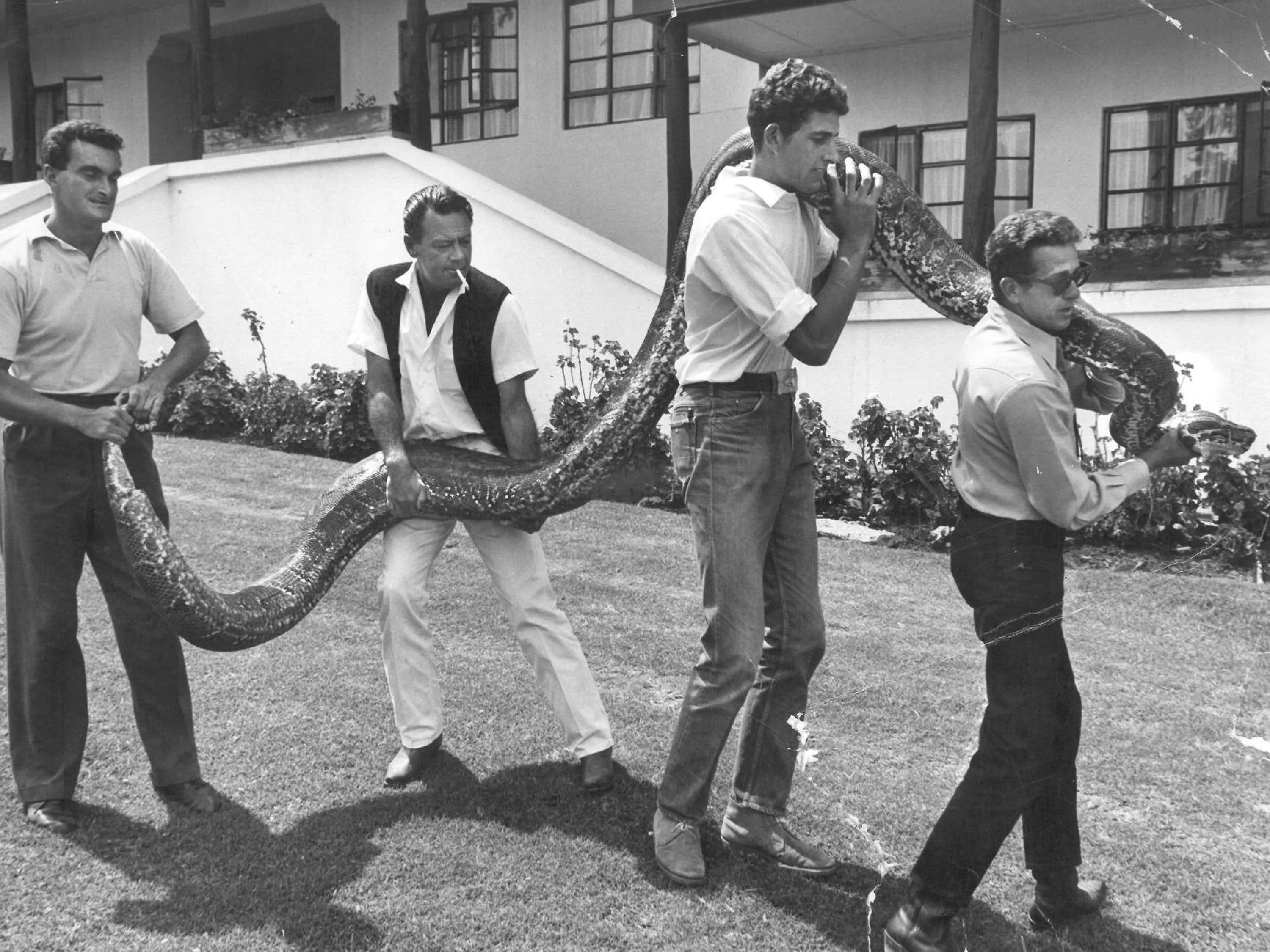 Other in Fairmont Mount Kenya Safari Club