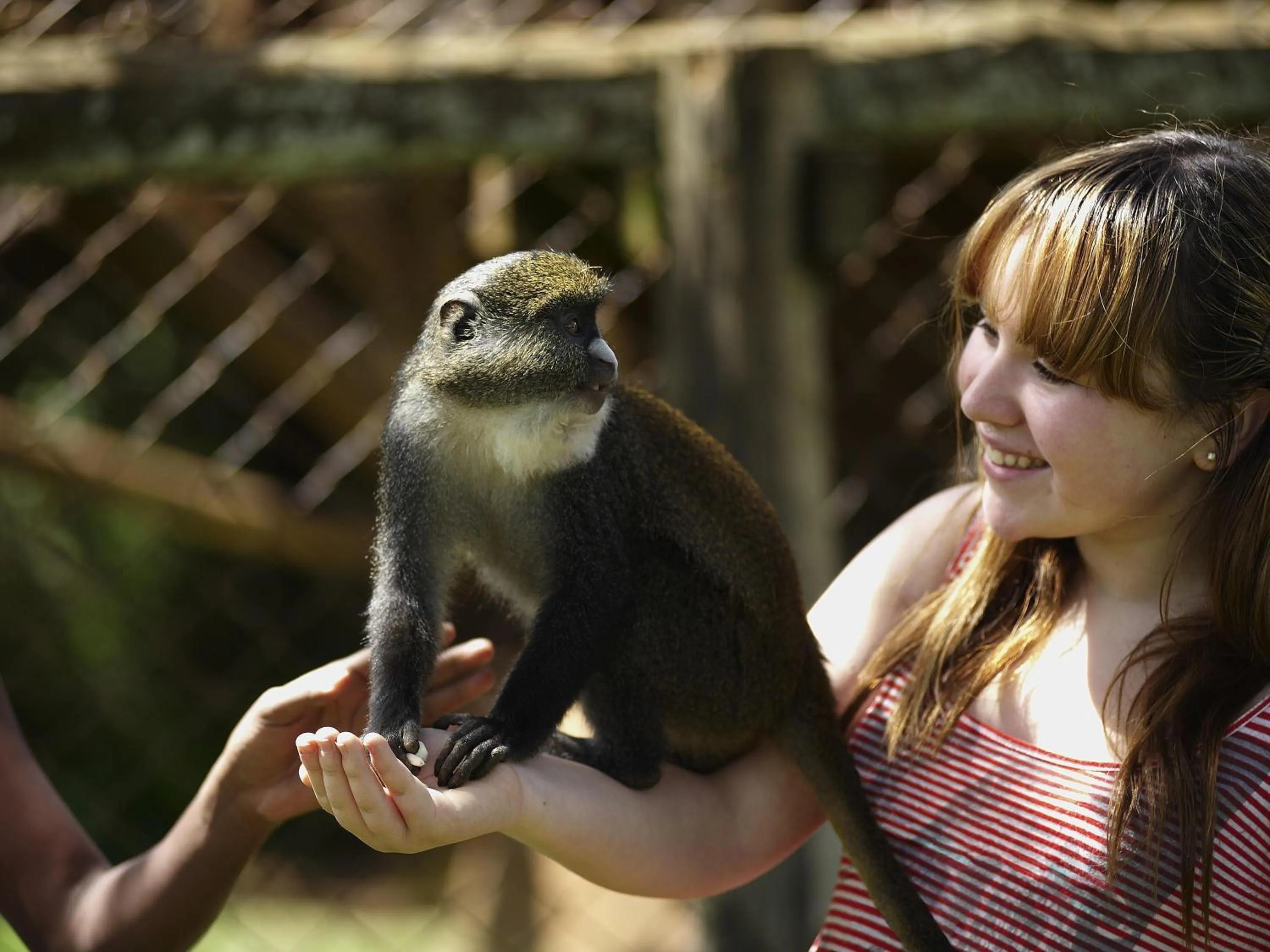 Other in Fairmont Mount Kenya Safari Club