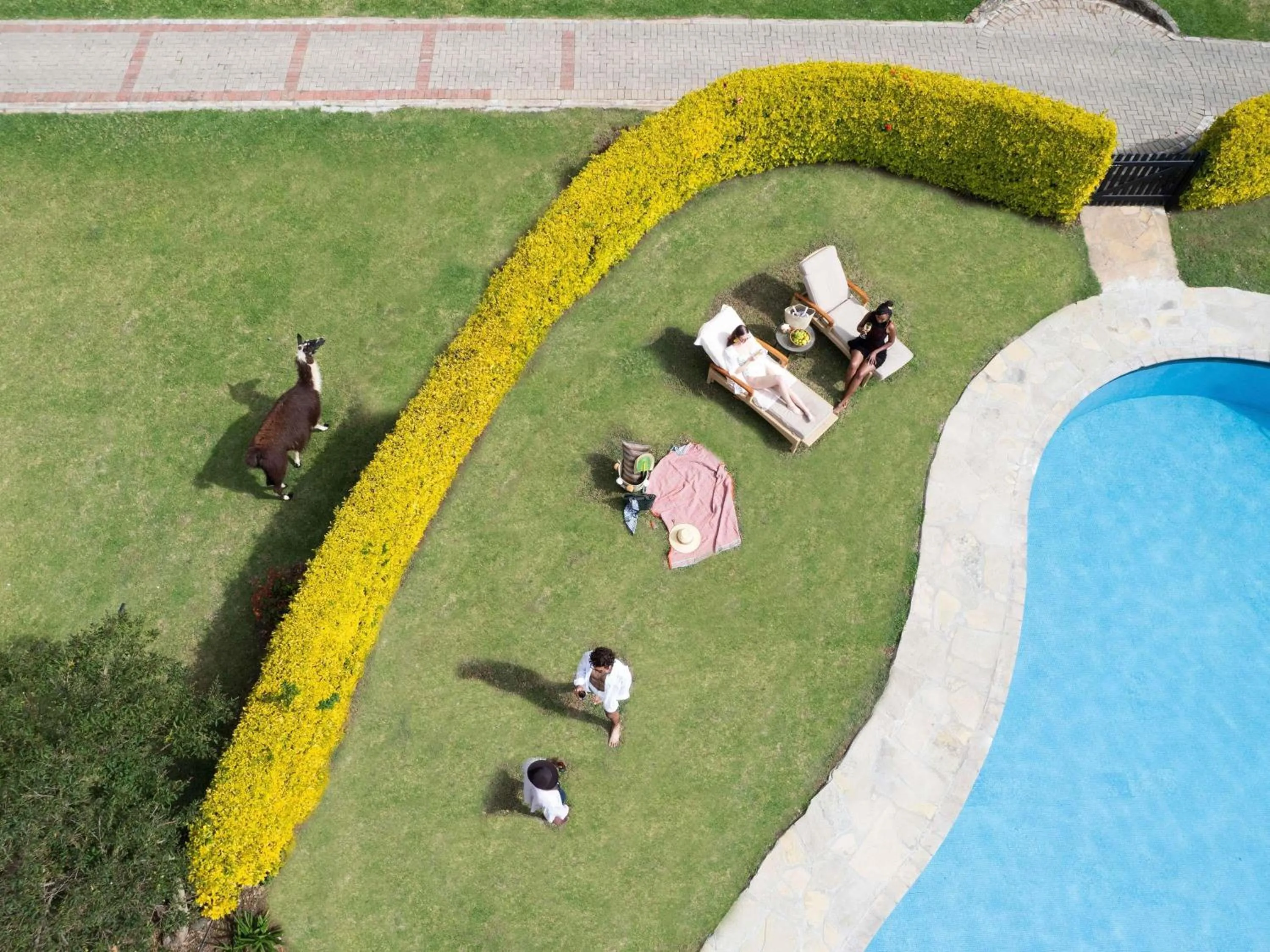 Lounge or bar in Fairmont Mount Kenya Safari Club