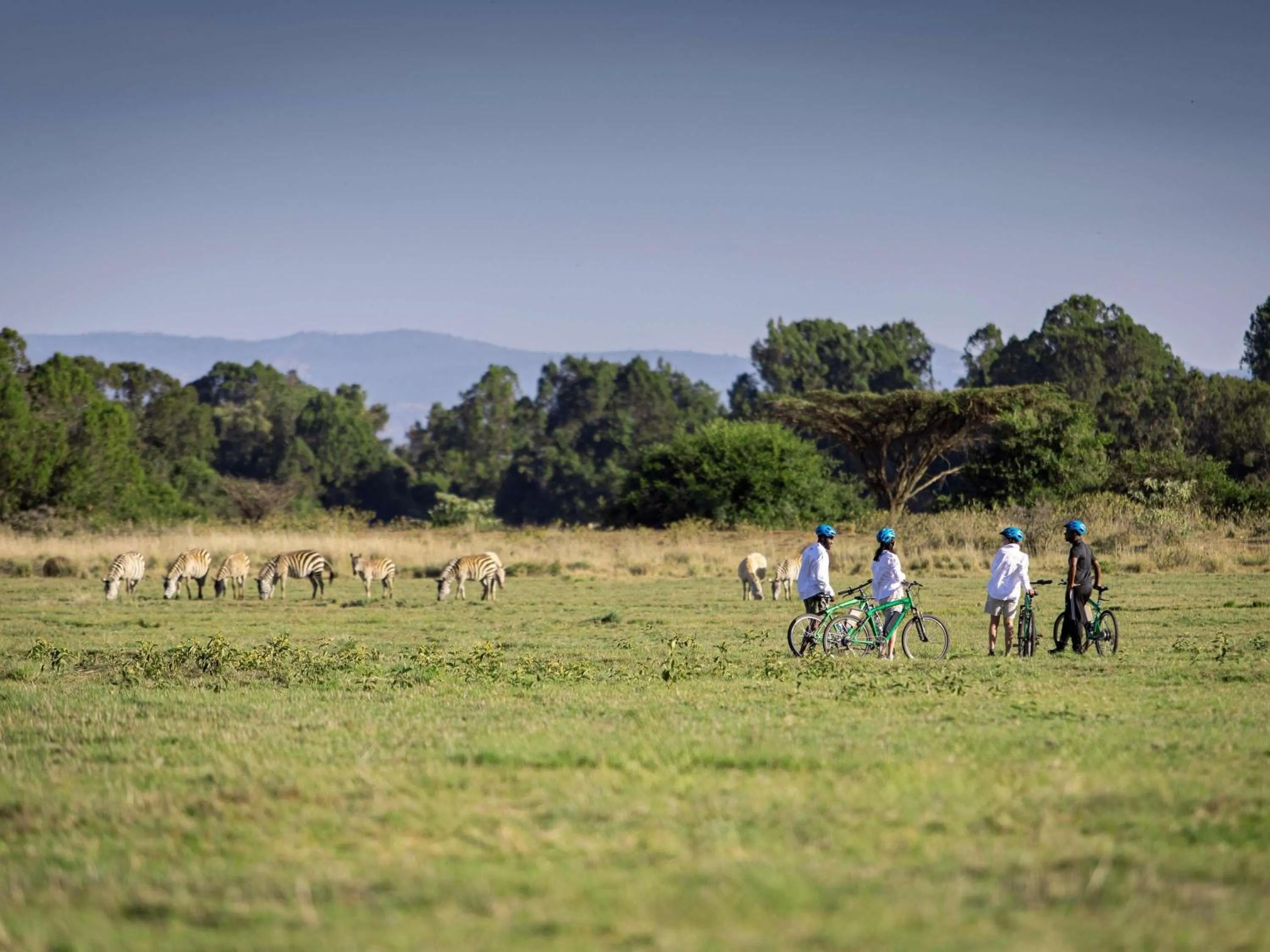 Other in Fairmont Mount Kenya Safari Club