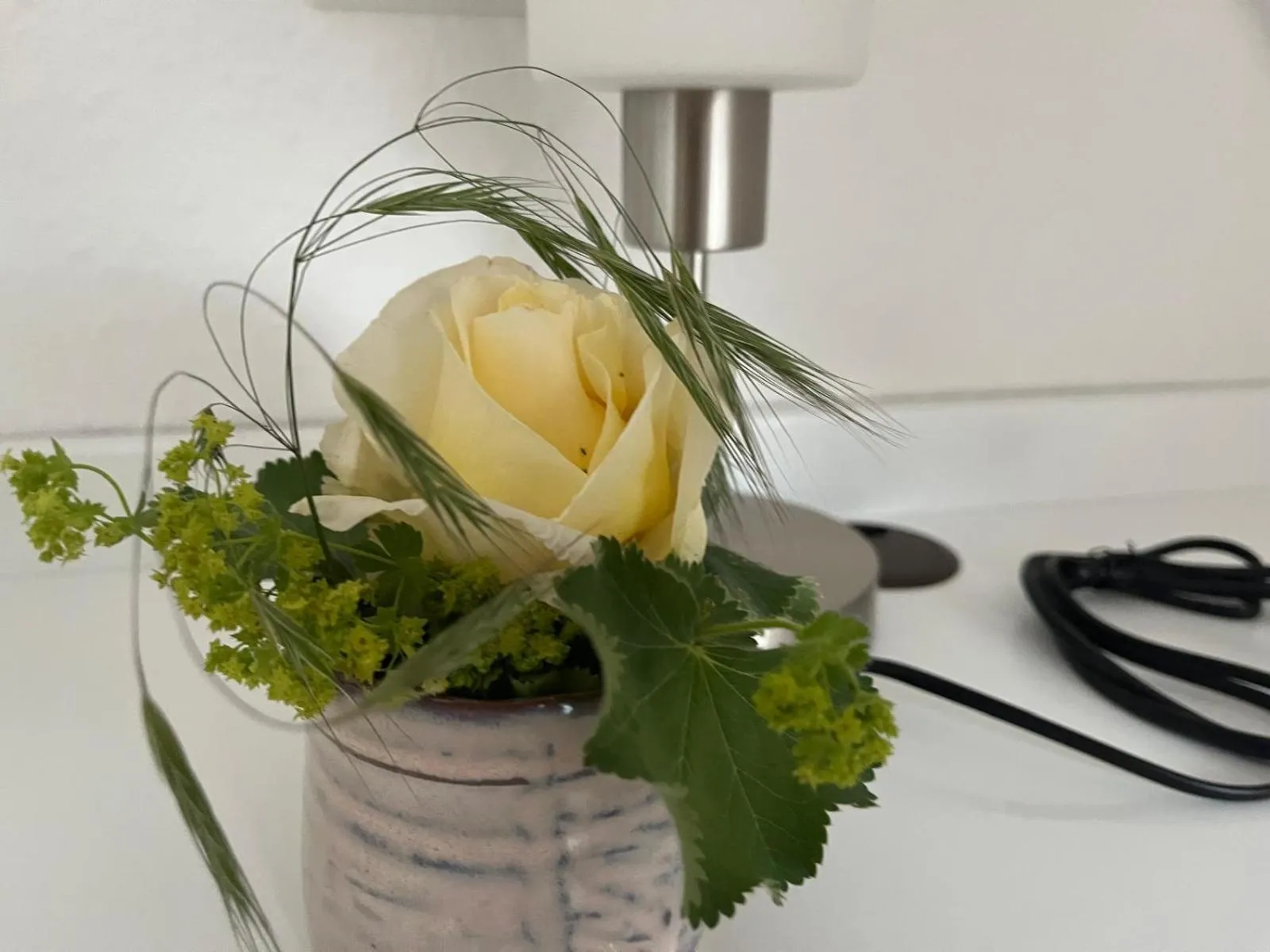 Photo of the whole room in Hotel Sonne