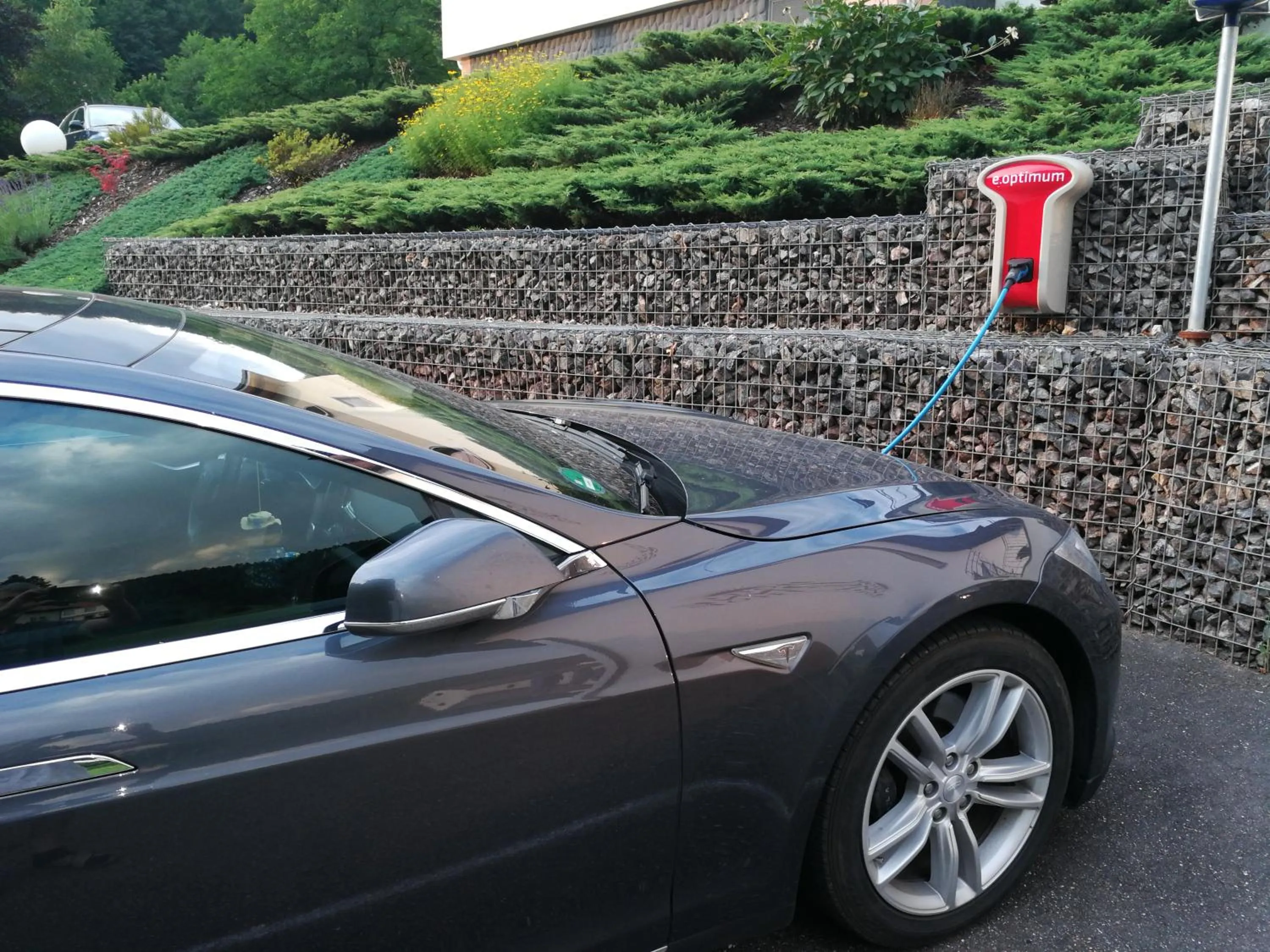 Garden in Hotel Sonne