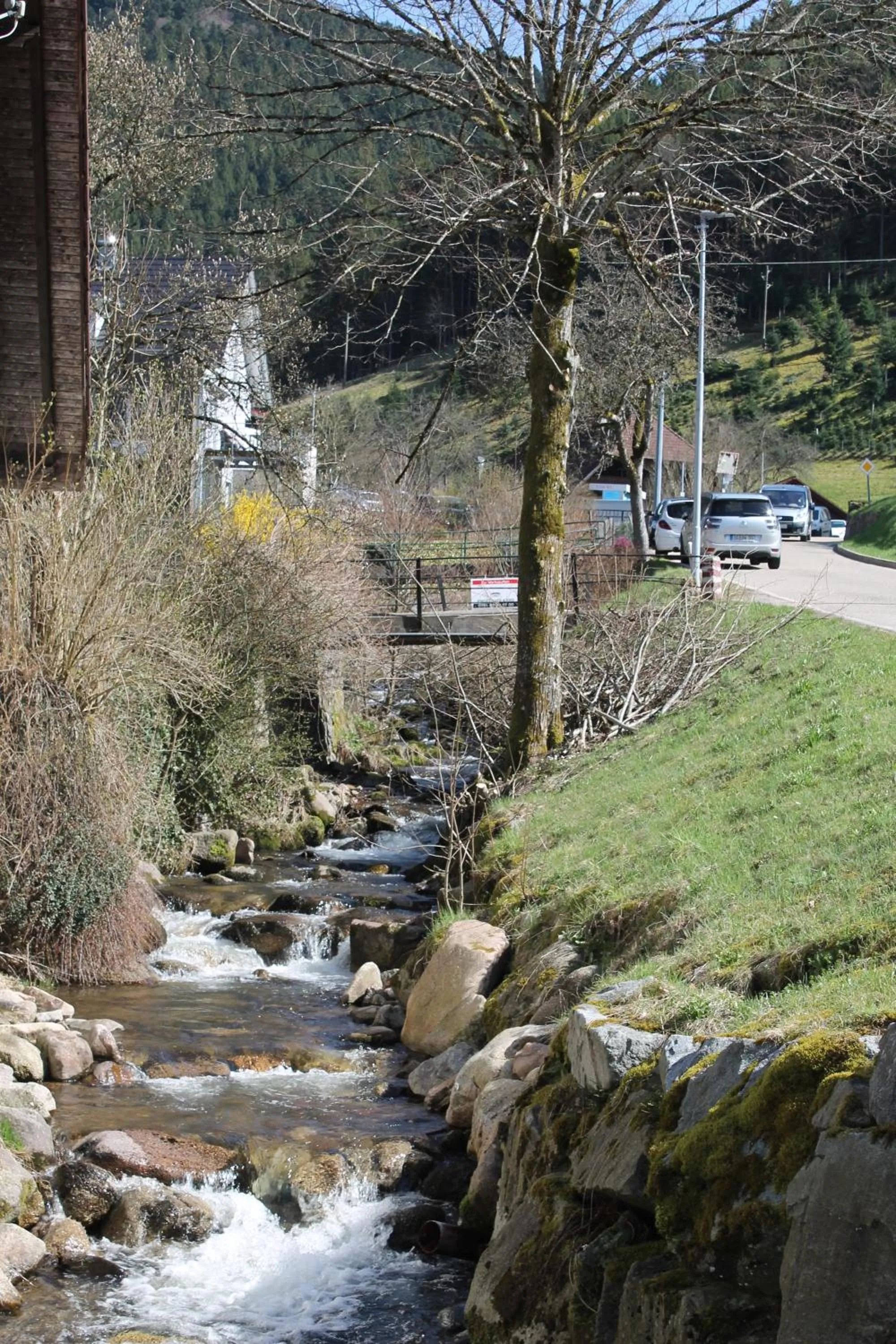 Natural landscape in Hotel Sonne