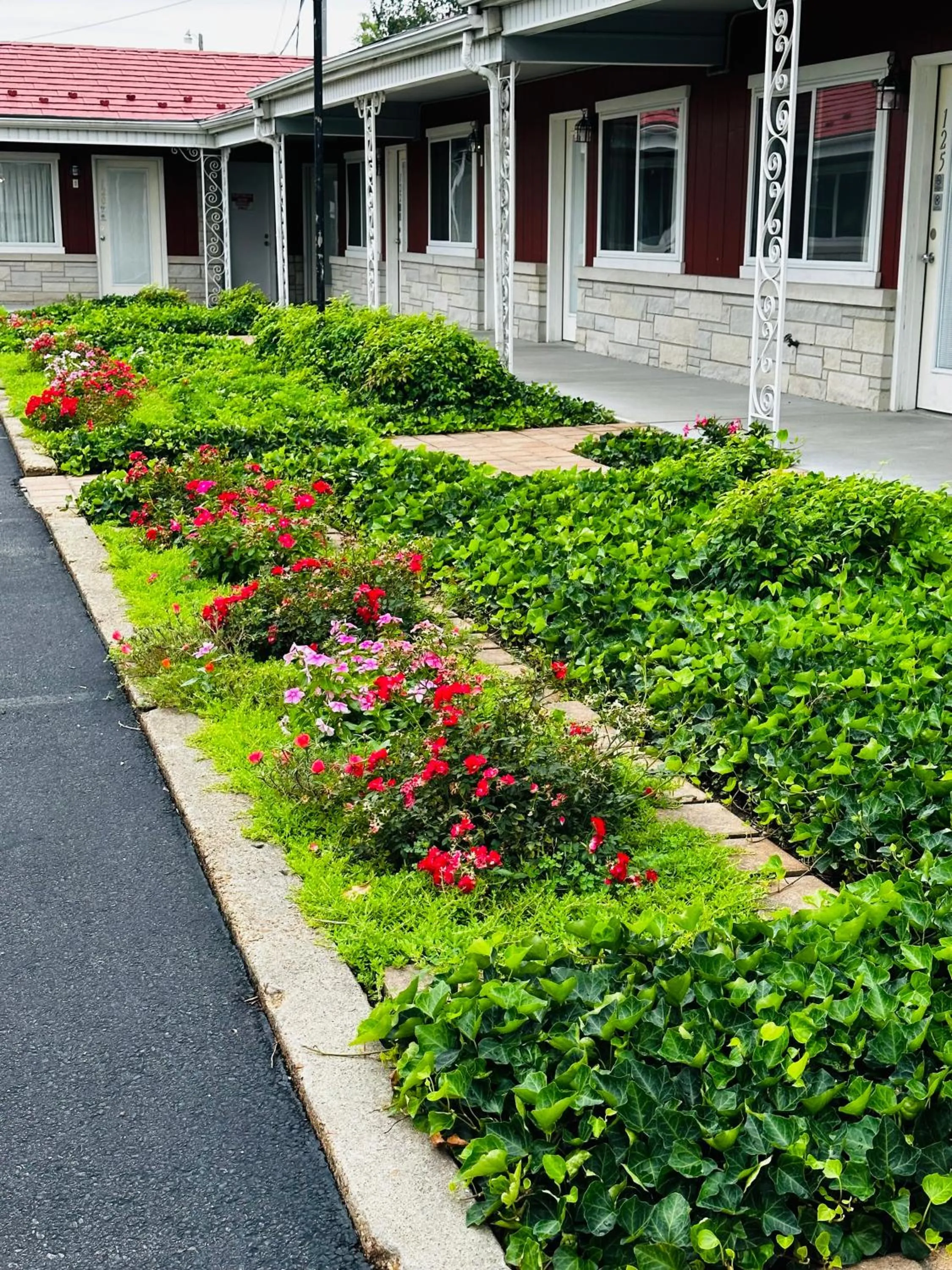 Garden view in Murray Inn and Art Gallery