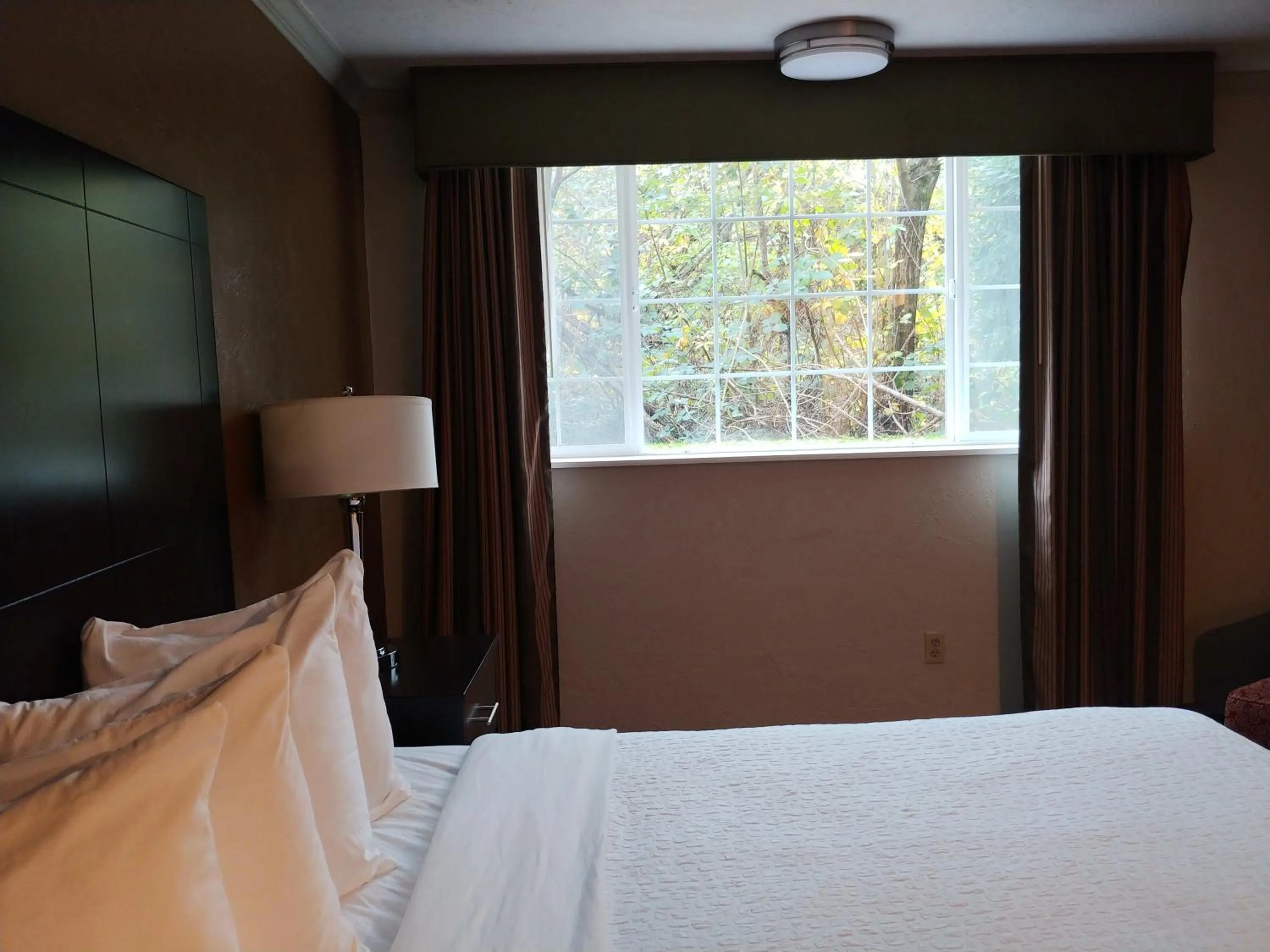 Bed in Best Western Plus Parkway Inn