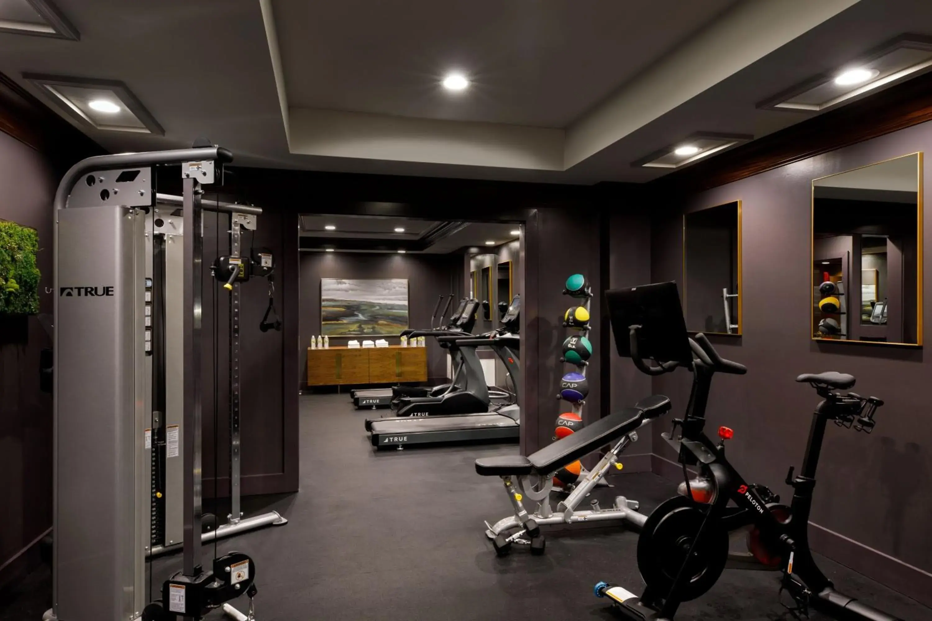 Fitness centre/facilities in Ambassador Hotel Kansas City, Autograph Collection Fitness centre/facilities in Ambassador Hotel Kansas City, Autograph Collection