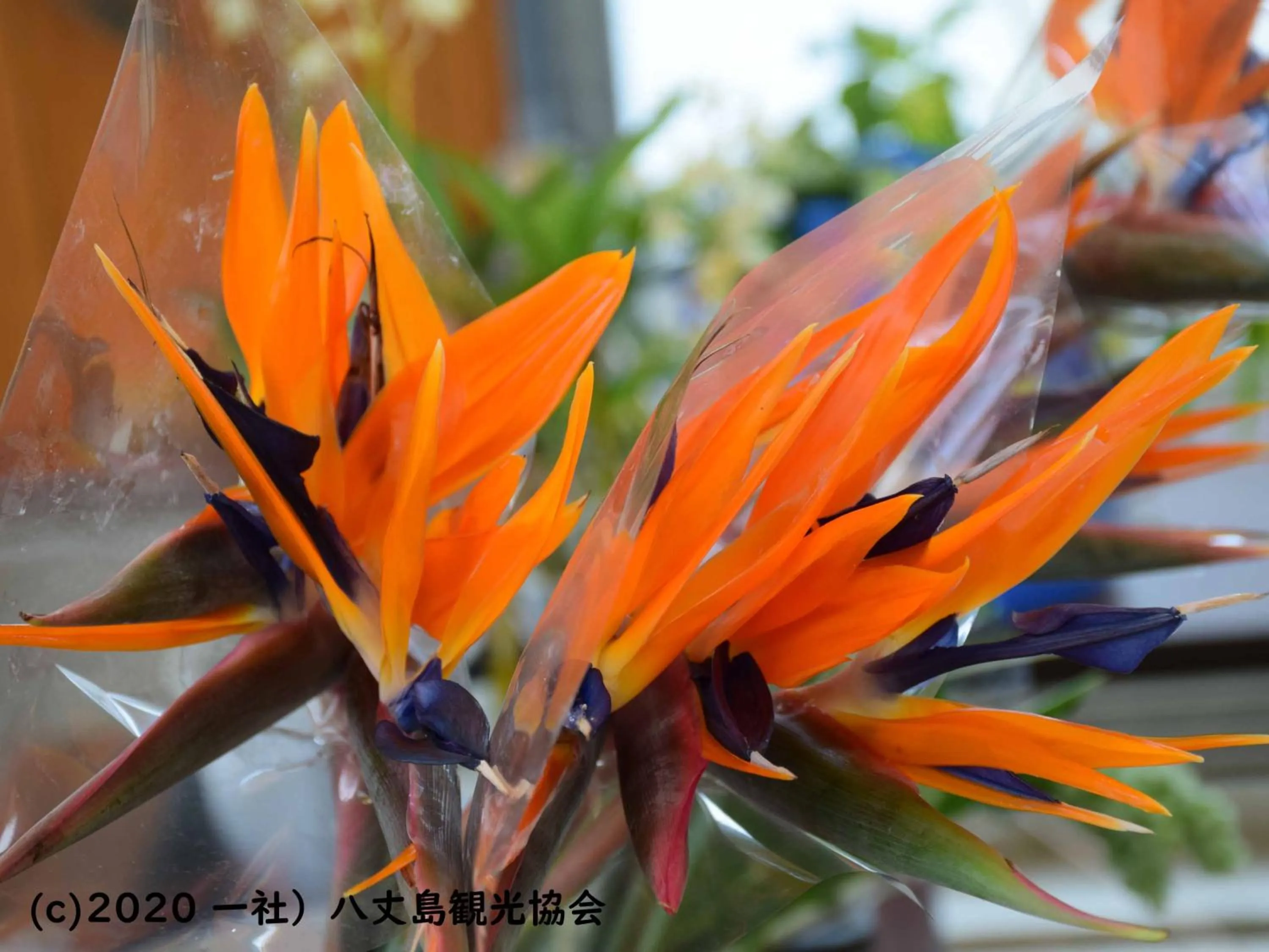 Nearby landmark in Kokumin Shukusha Sun Marina