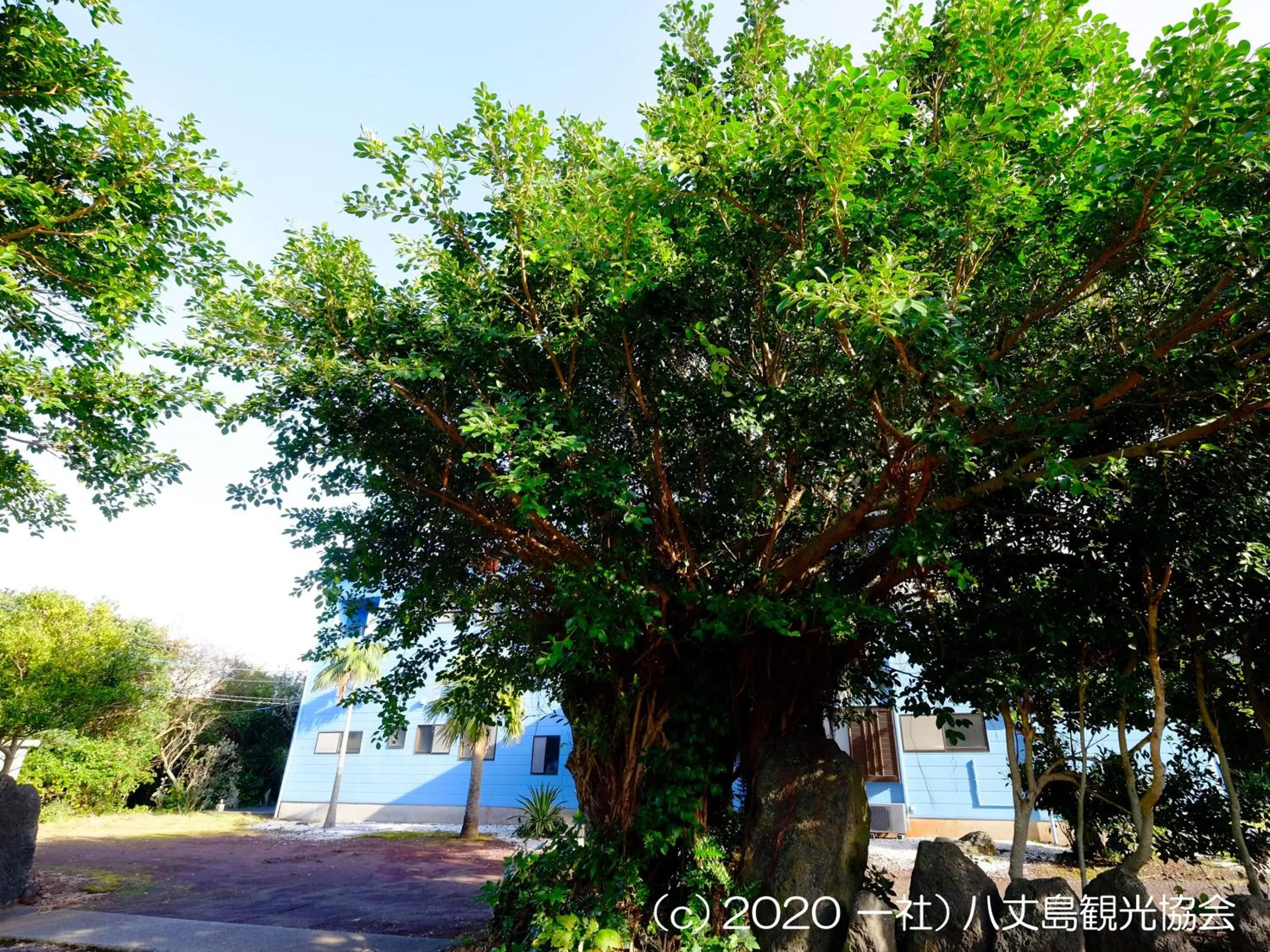 Property building in Kokumin Shukusha Sun Marina