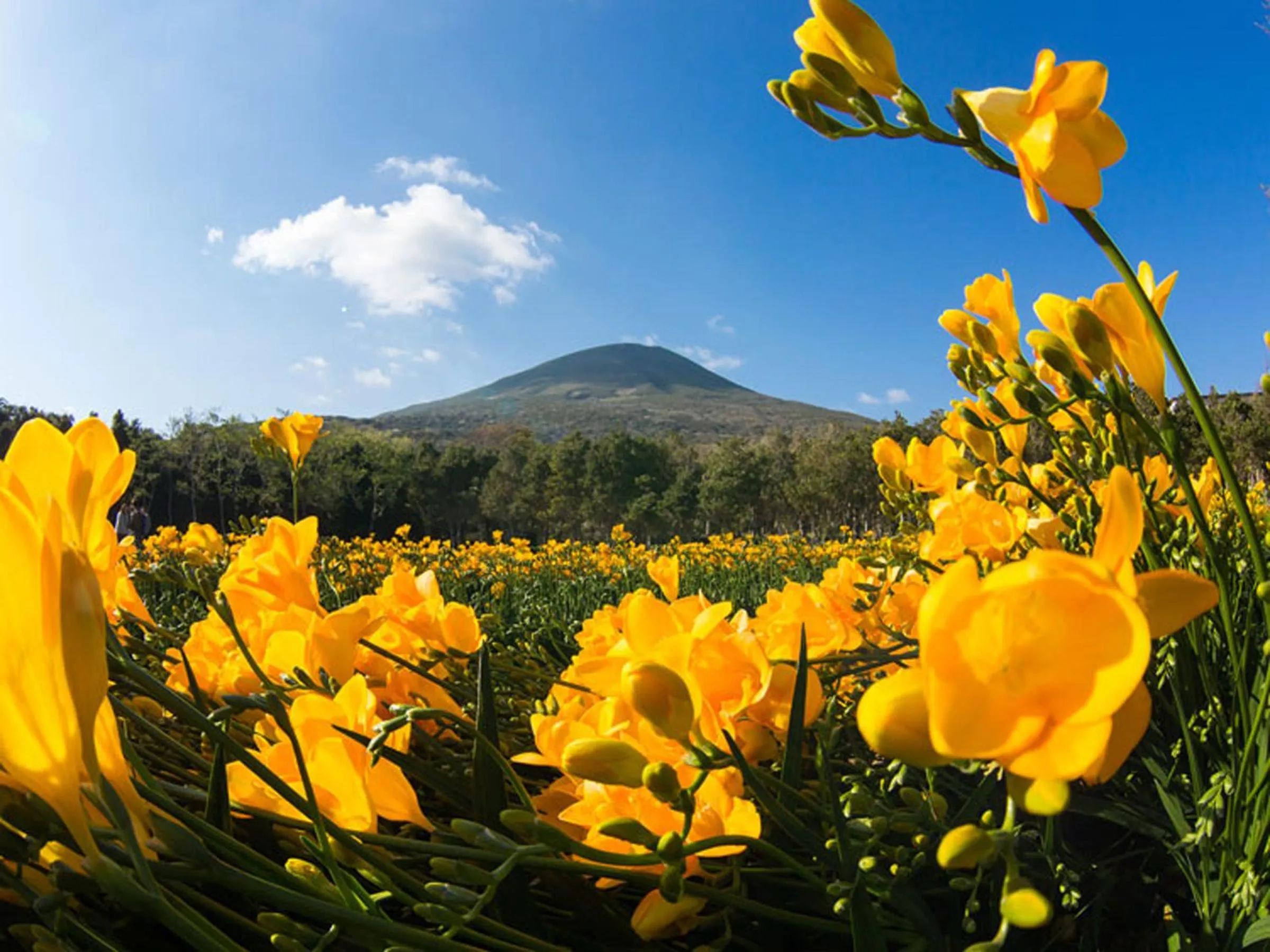 Other in Kokumin Shukusha Sun Marina