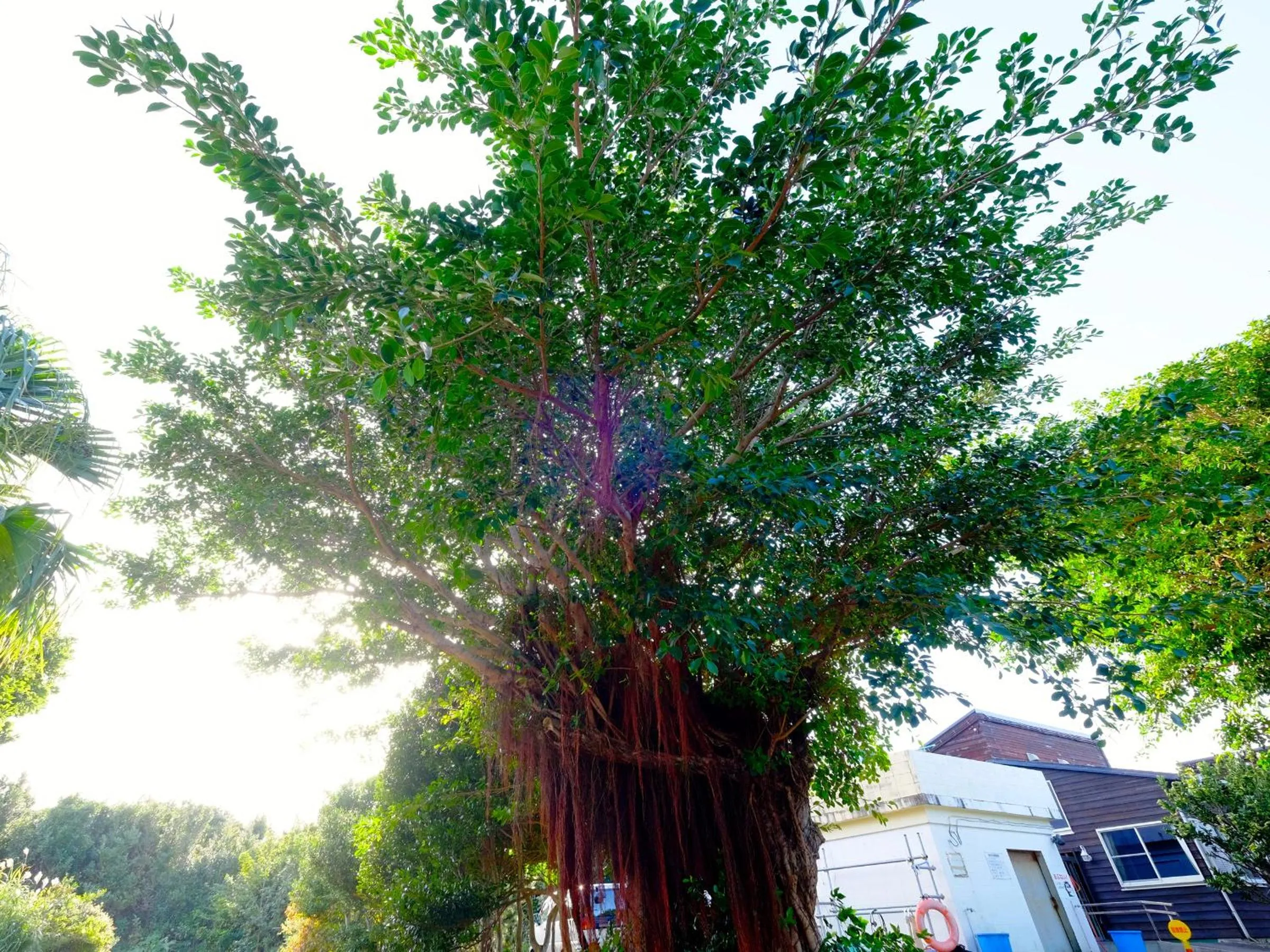 Property building in Kokumin Shukusha Sun Marina